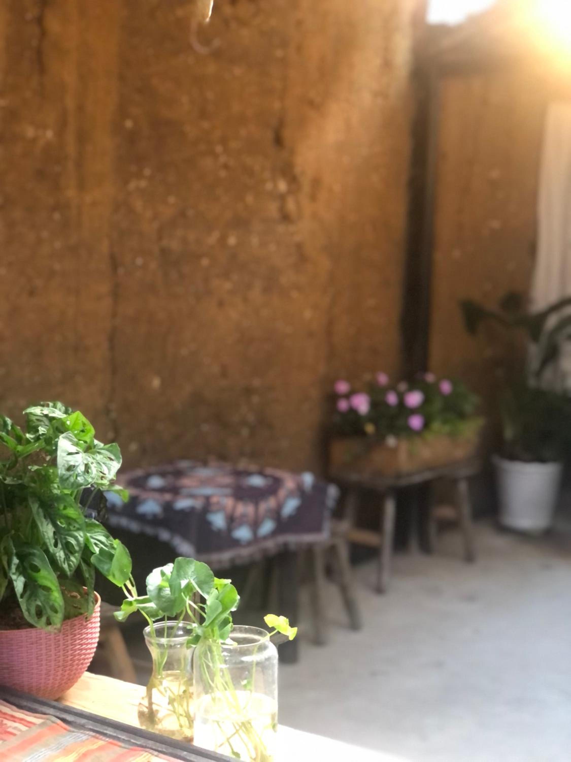 Le Petit Home