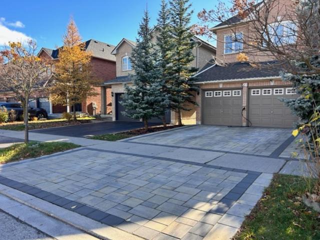 Private Walkout basement apartment separate entrance