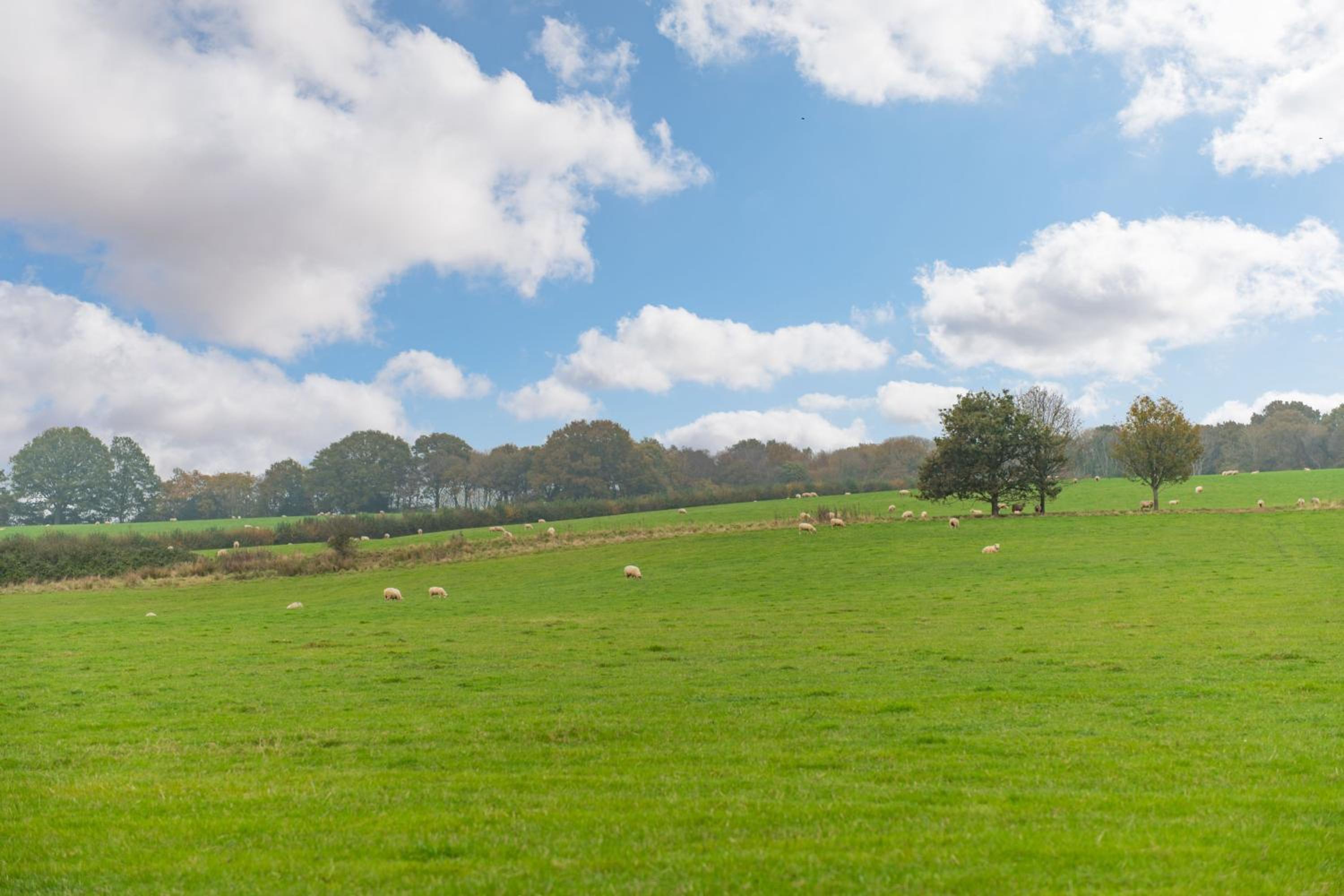 The Grainstore by Bloom Stays view 4