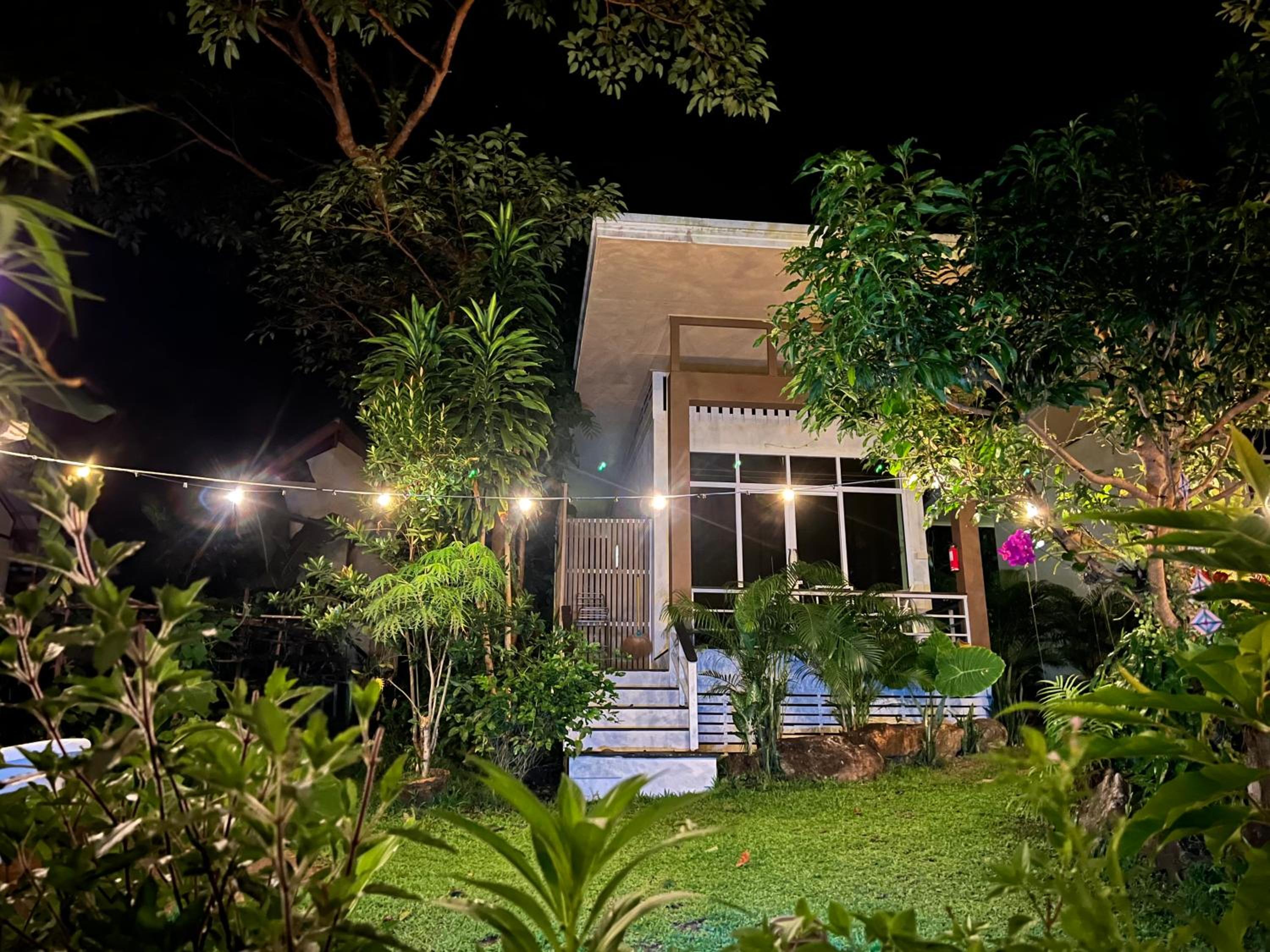 Beach Jungle