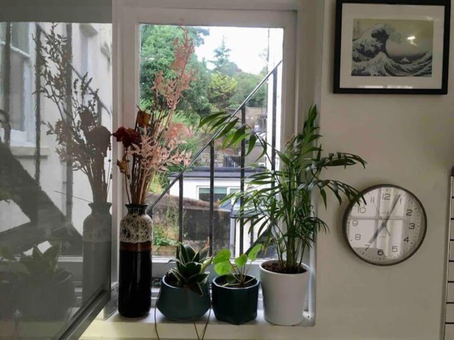 Stylish apartment in Brighton