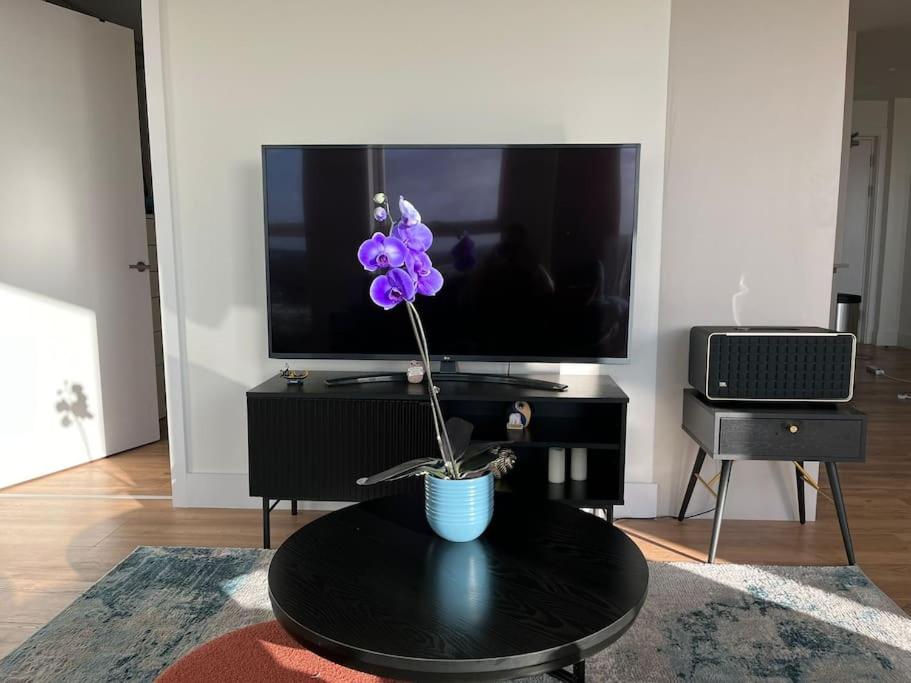 Lovely 2 bedroom apartment Dublin 8
