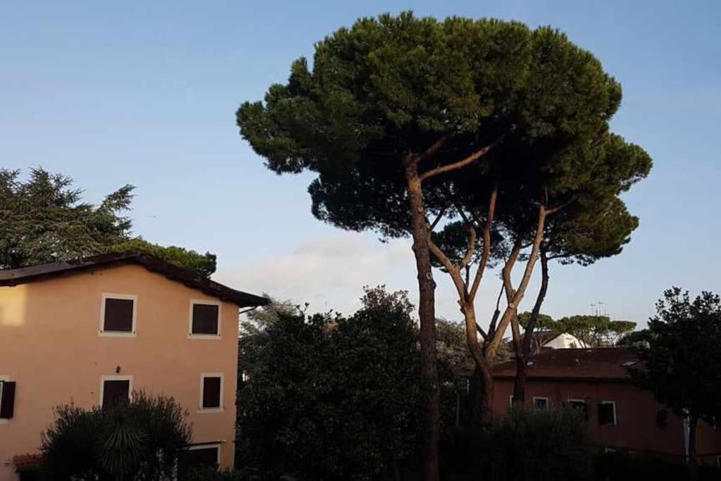 Aurelia Begonia Apartment - family & business