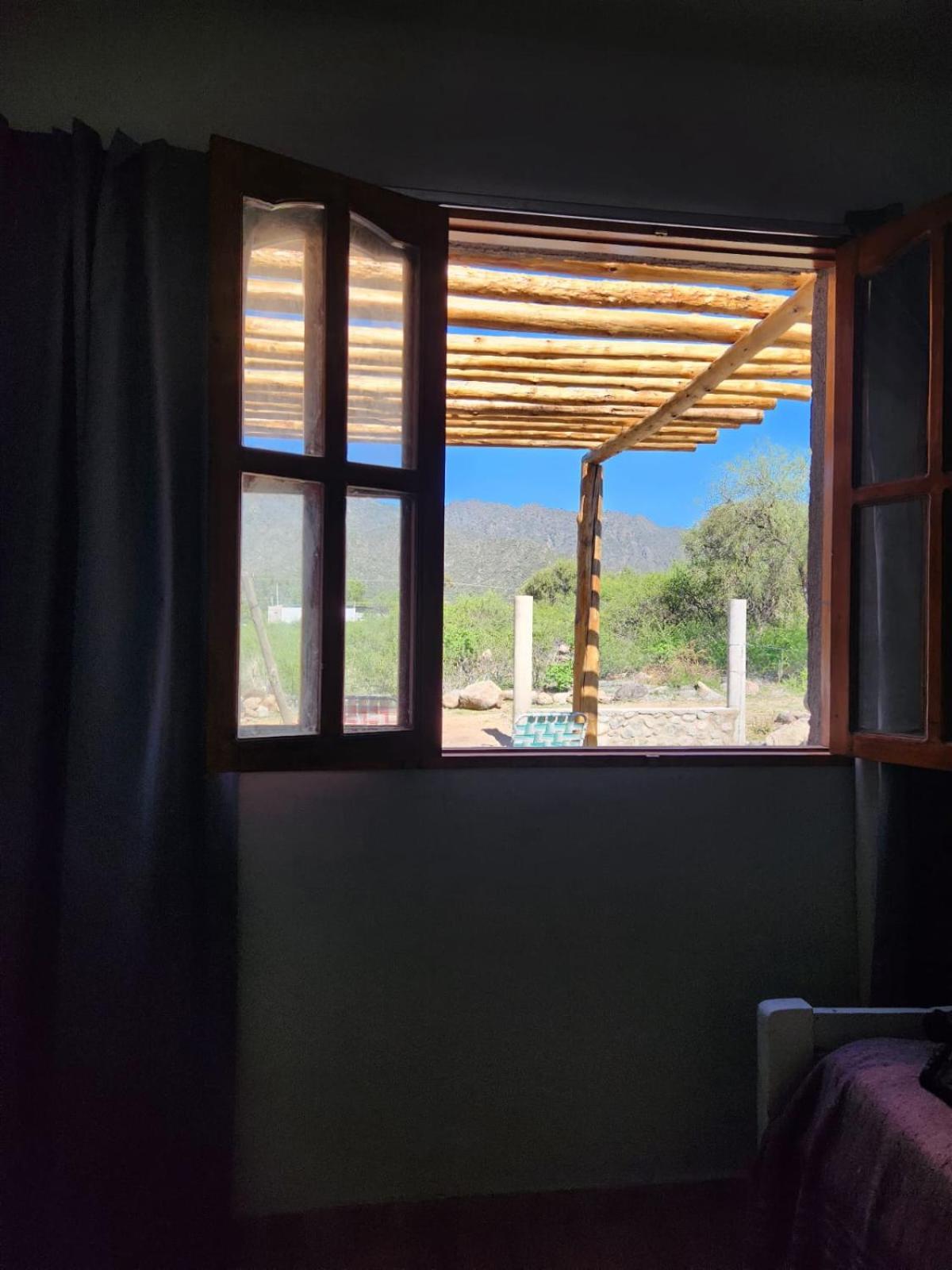 Nueva Vista