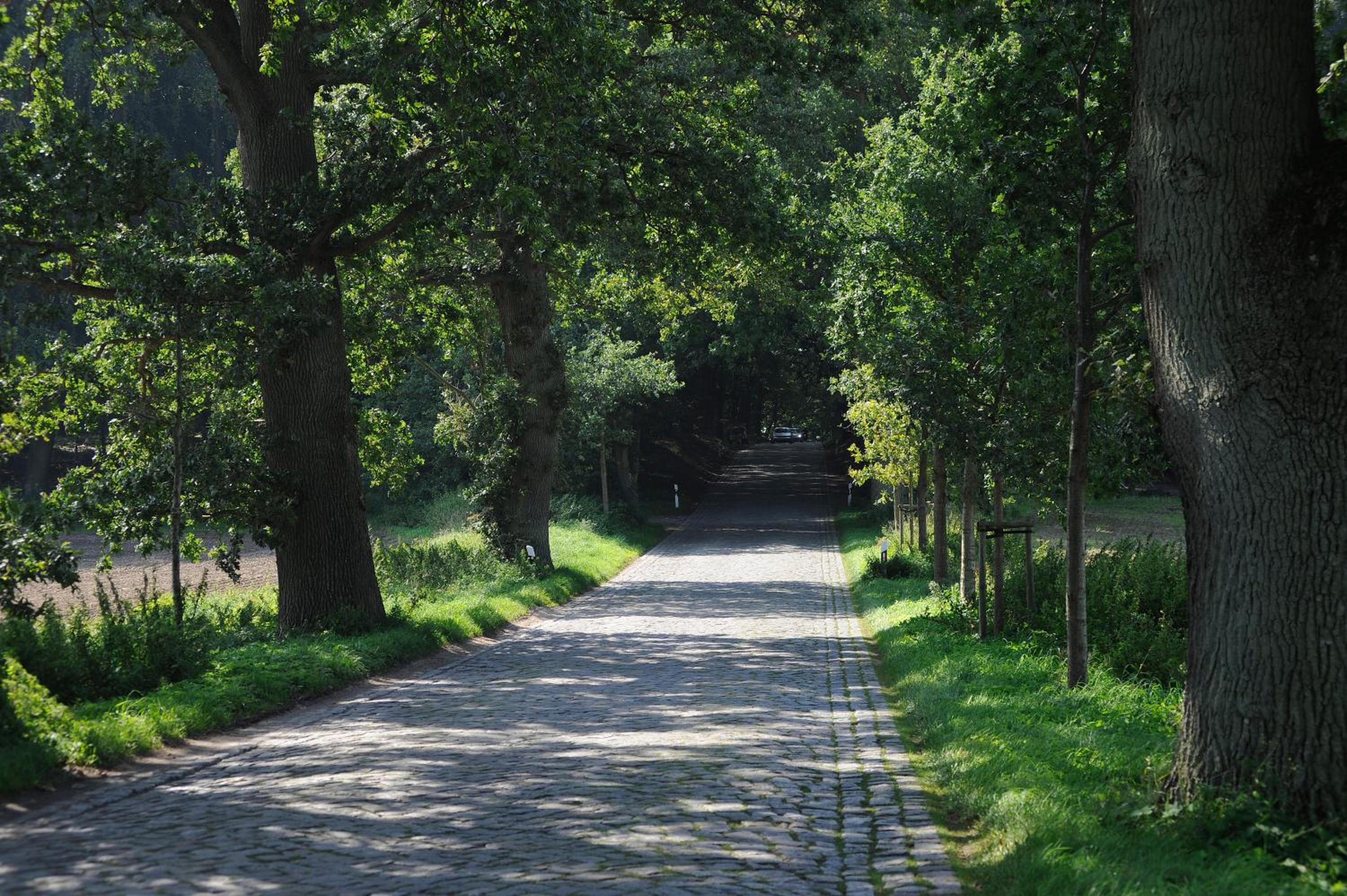 Seeblick Ferienwohnung