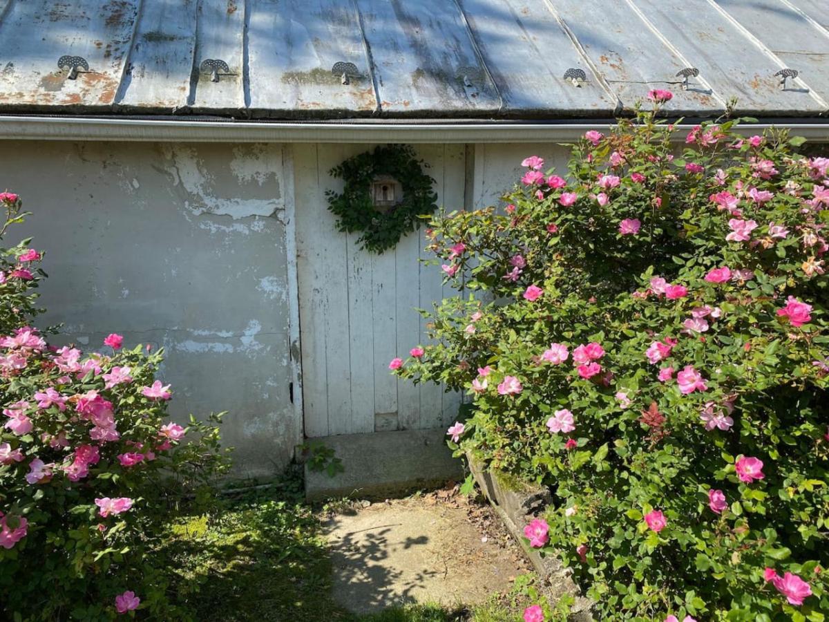 The Bears Den at La Soledad - Property Image 18
