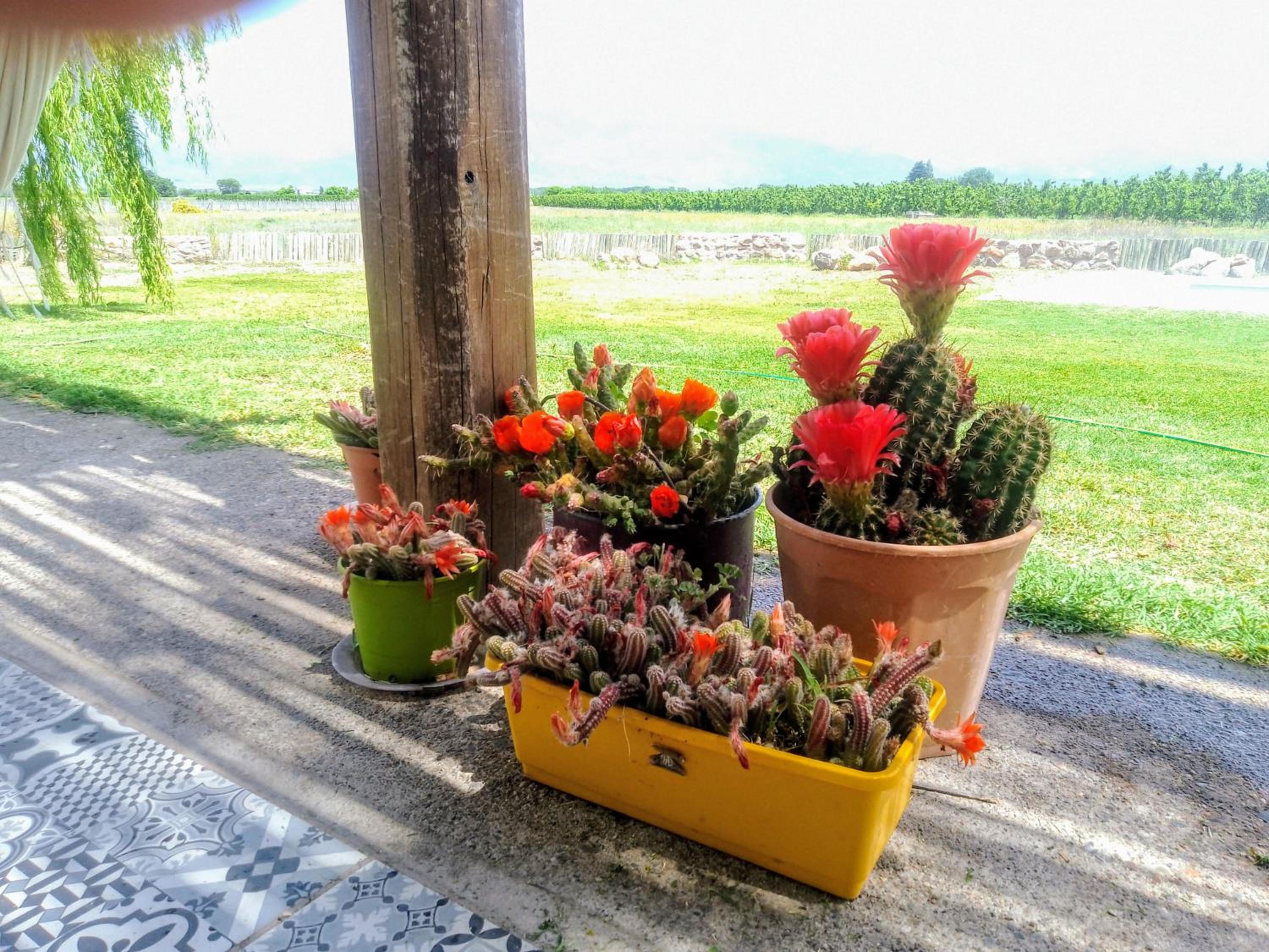 Casa de Campo Finca La Angelita