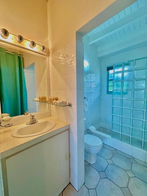 Pelican 2 bedr ocean view apt- shared pool view 5