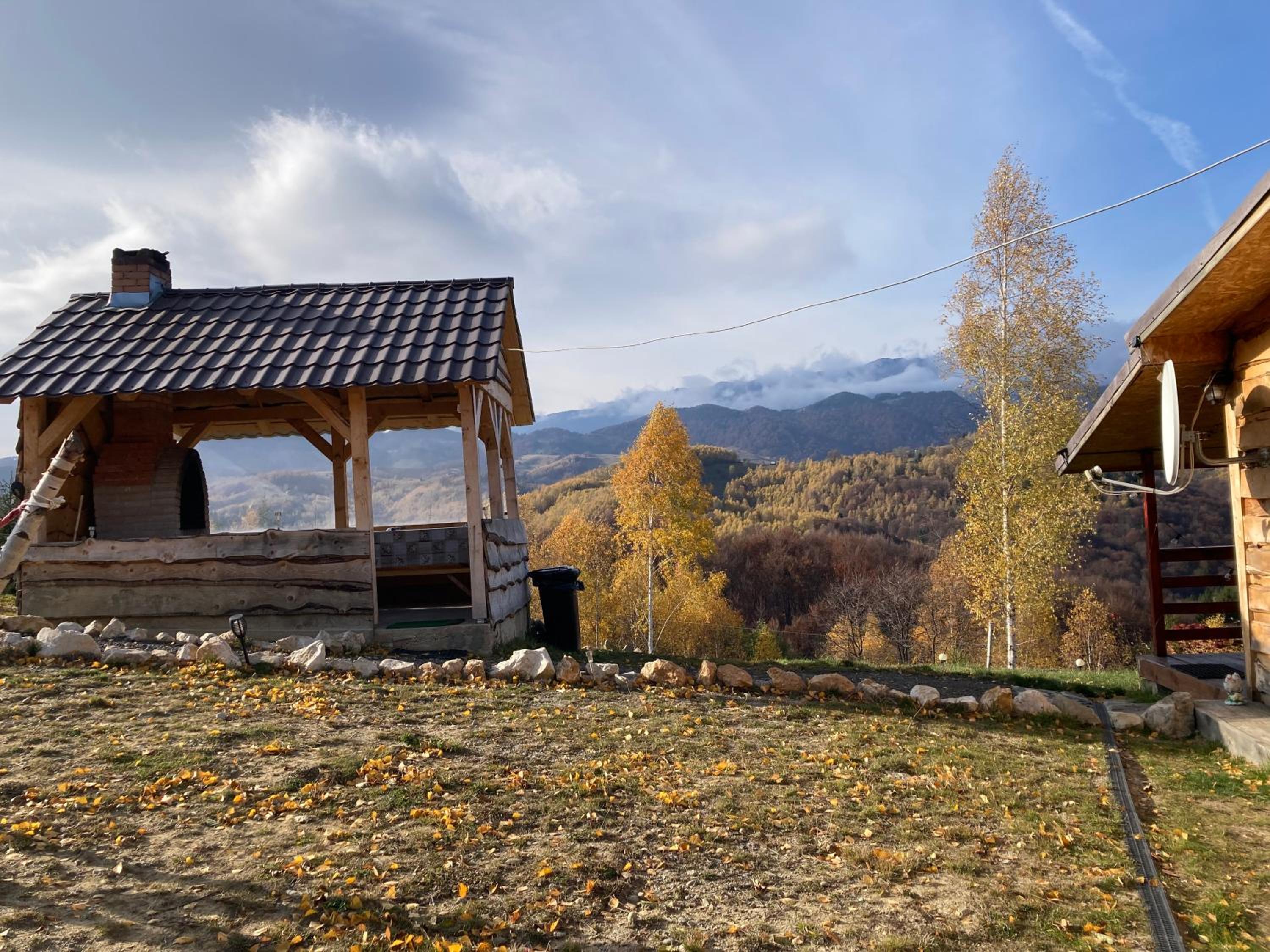 Cabana doi mesteceni