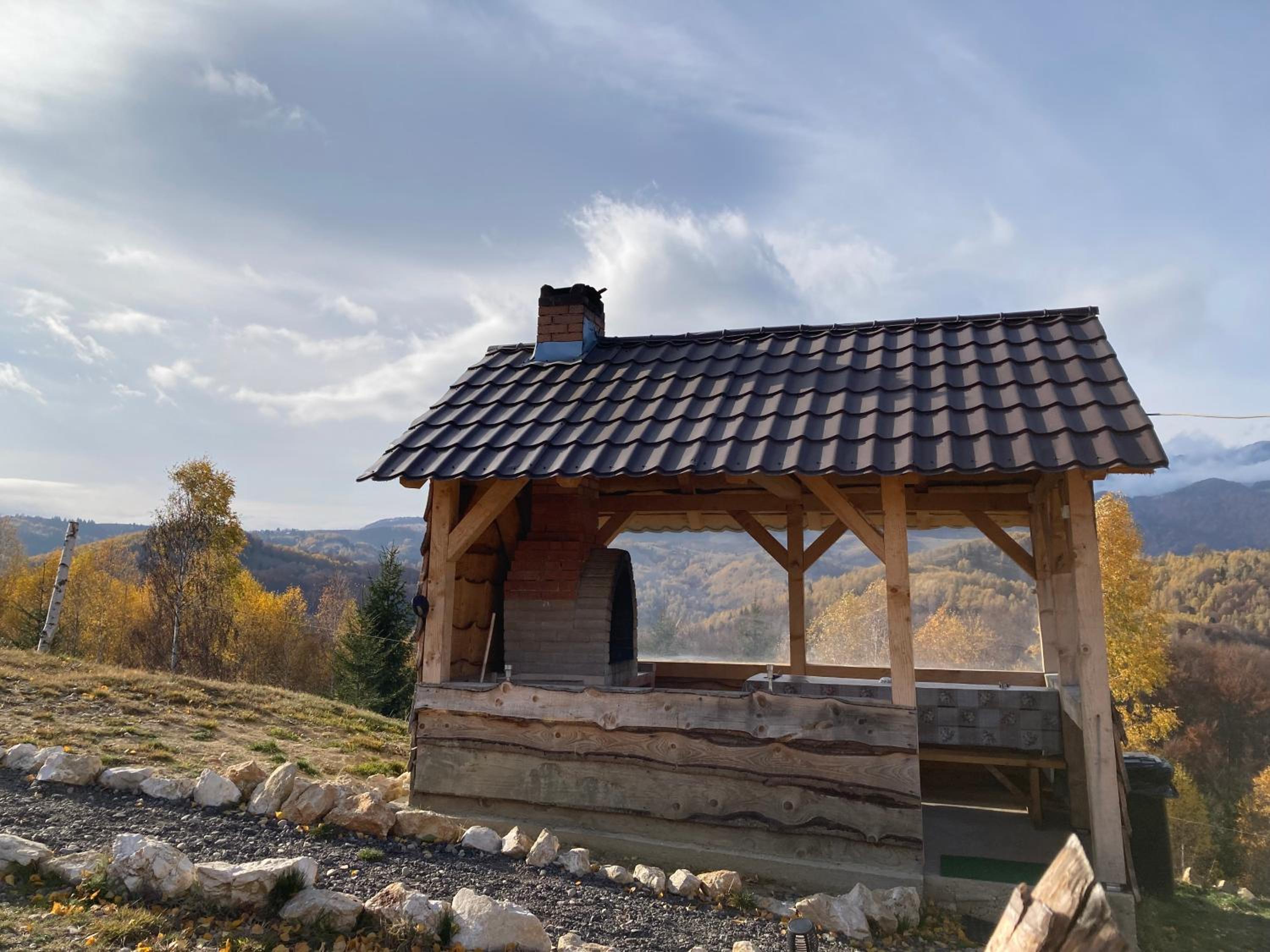 Cabana doi mesteceni