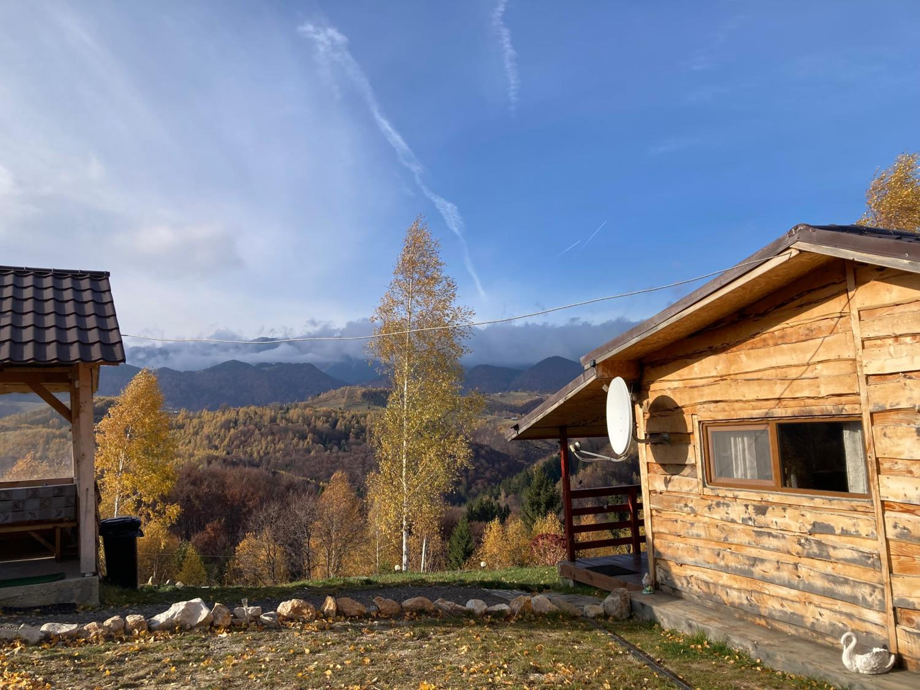 Cabana doi mesteceni