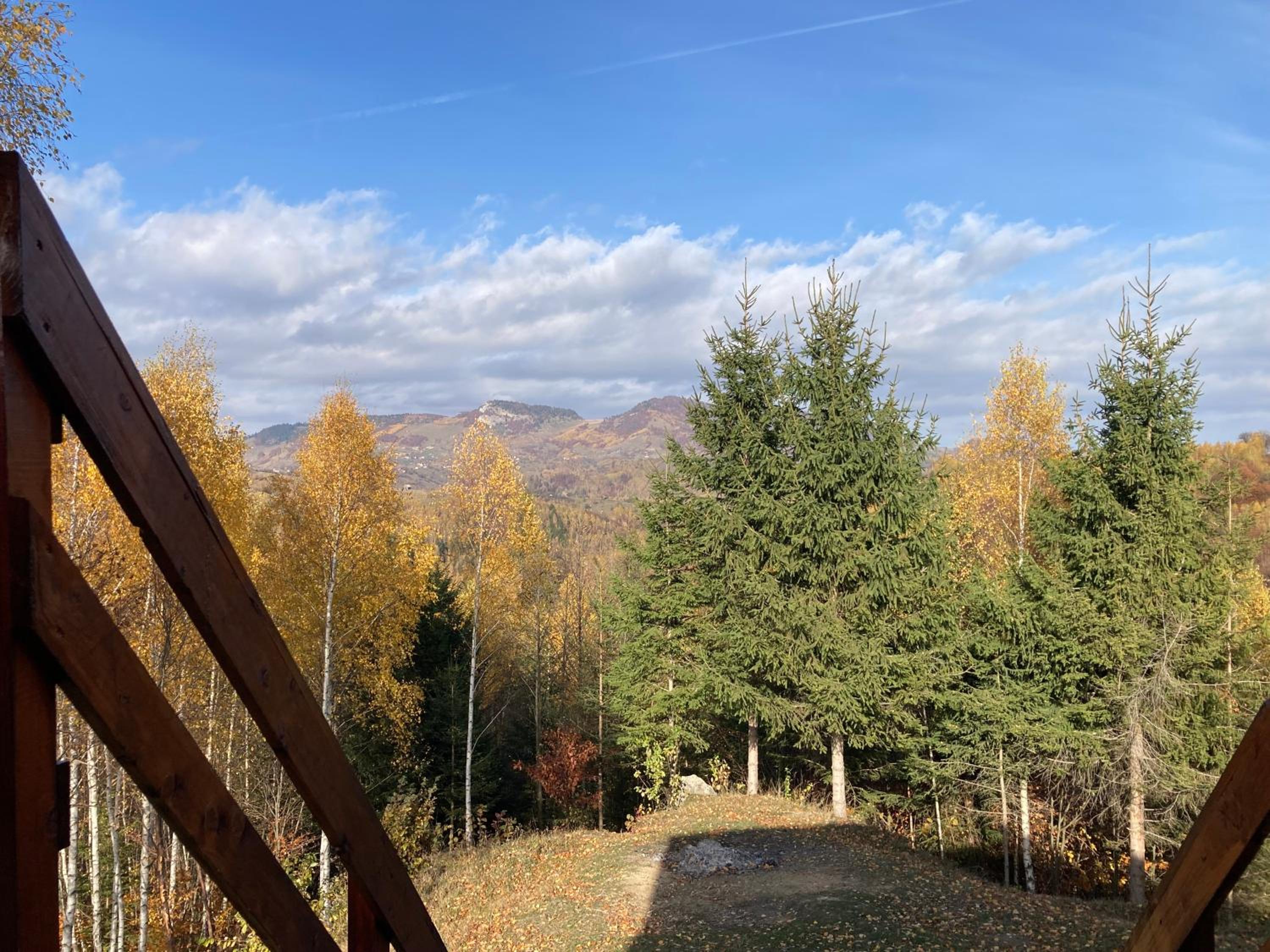 Cabana doi mesteceni