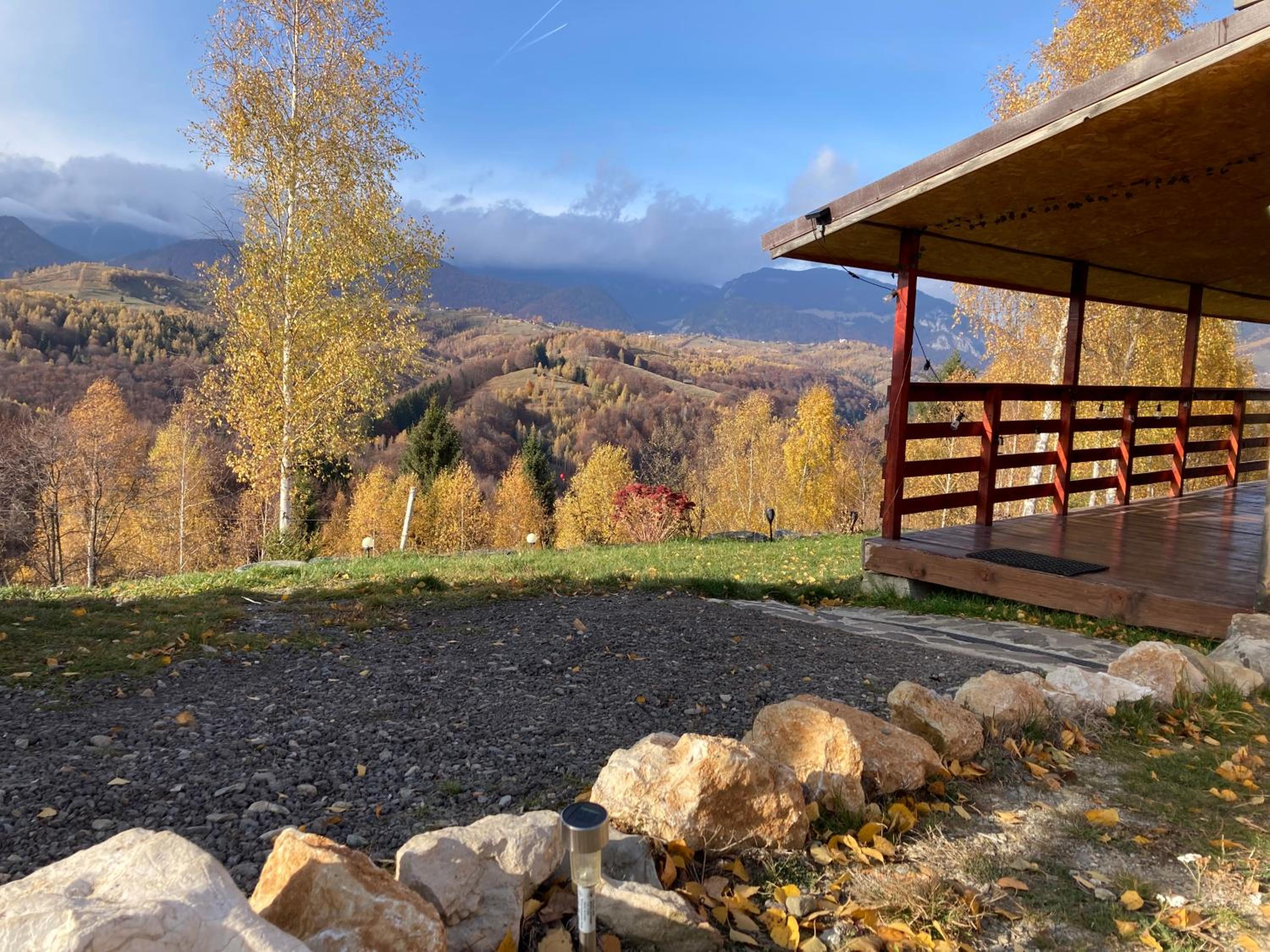 Cabana doi mesteceni