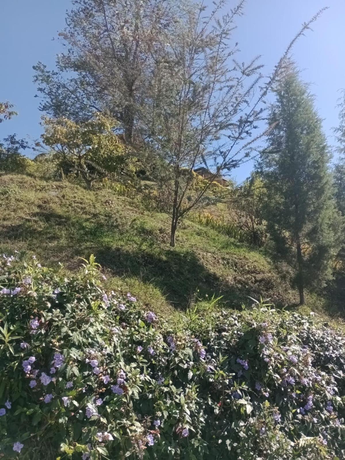 Photo 28