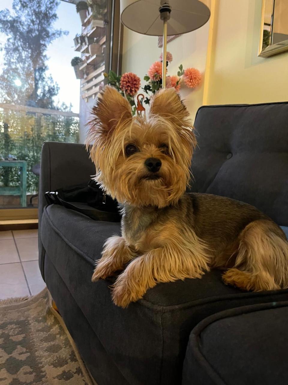 Mel