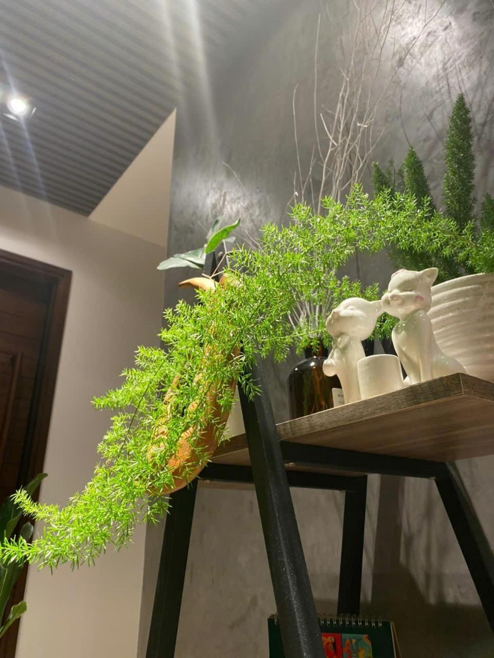 Ekehaus Đà Lạt view 5