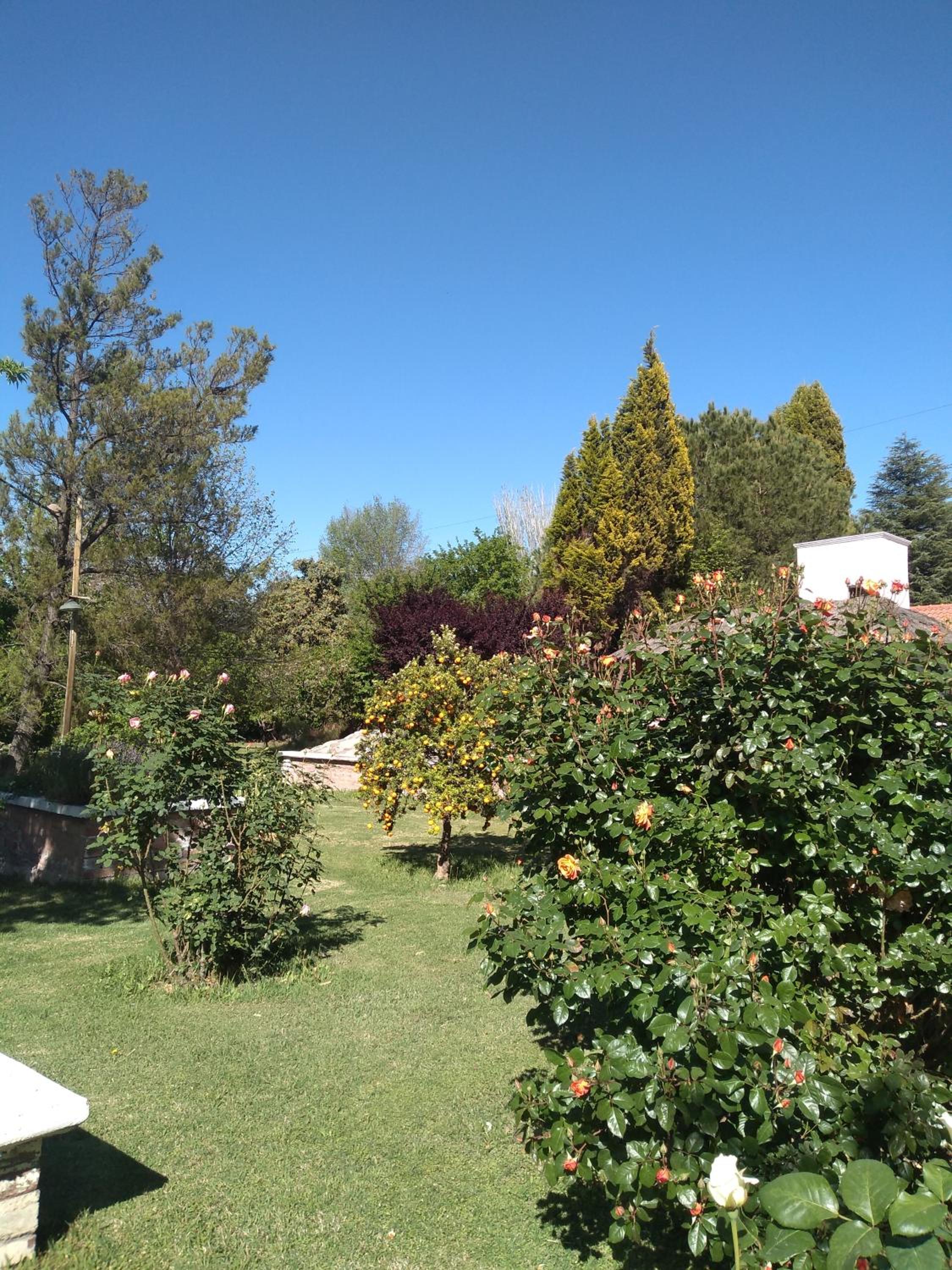 Casa amplia, jardin maravilloso