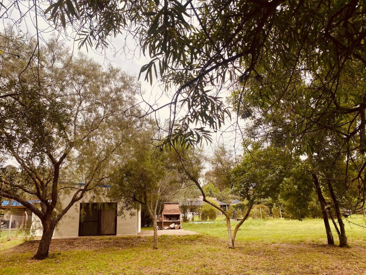 Sudestada