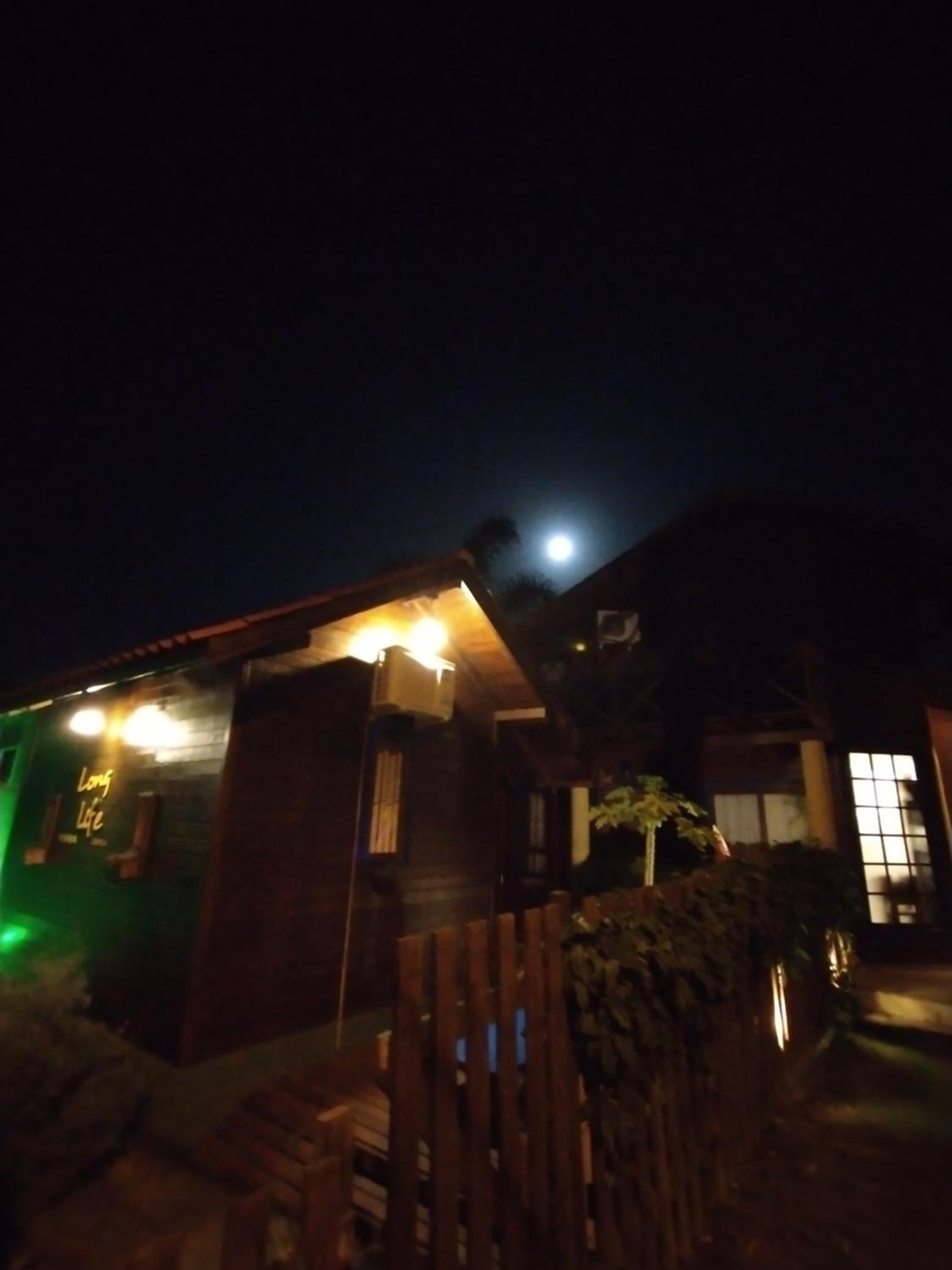 Photo 51