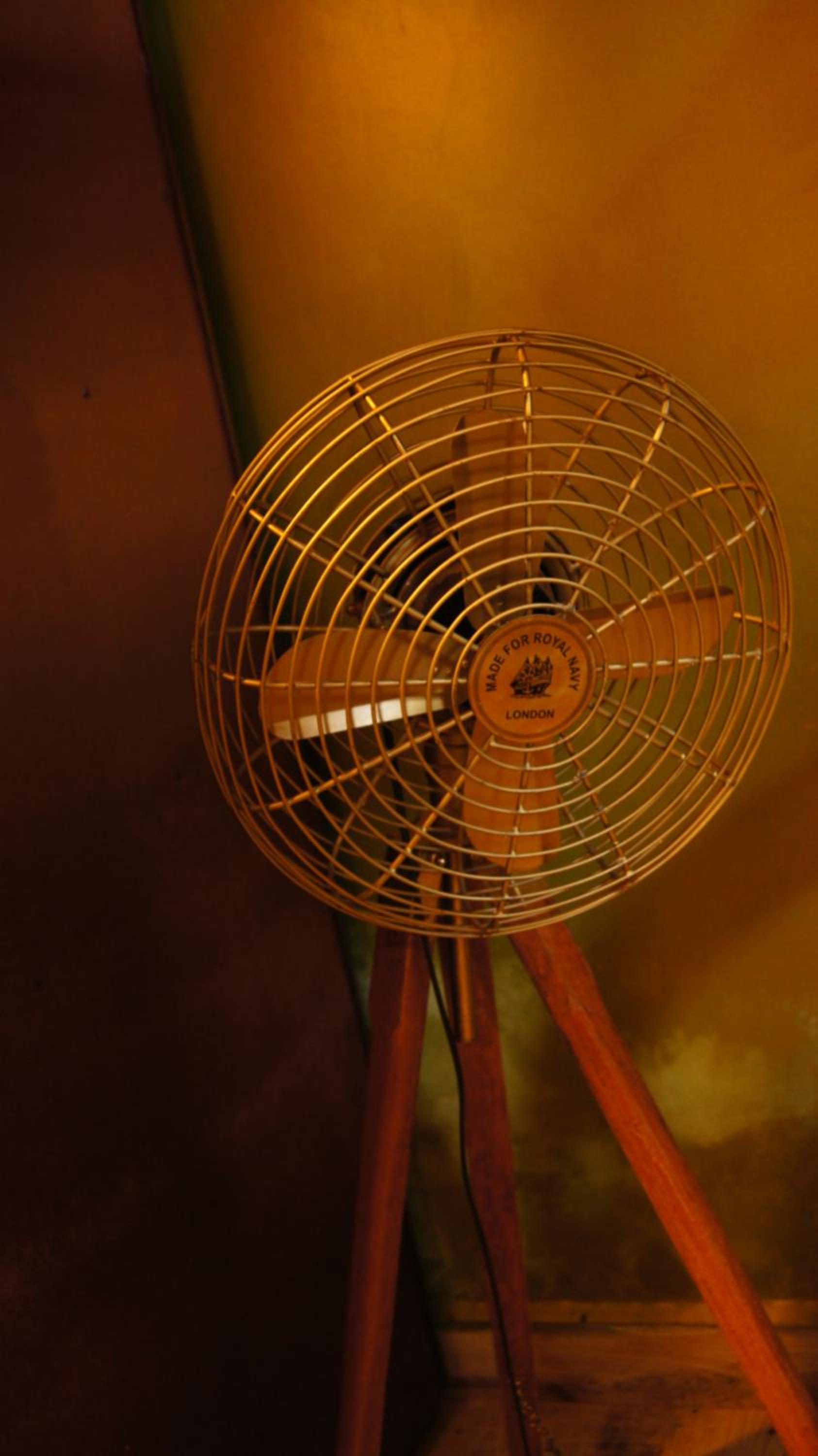 Photo 48