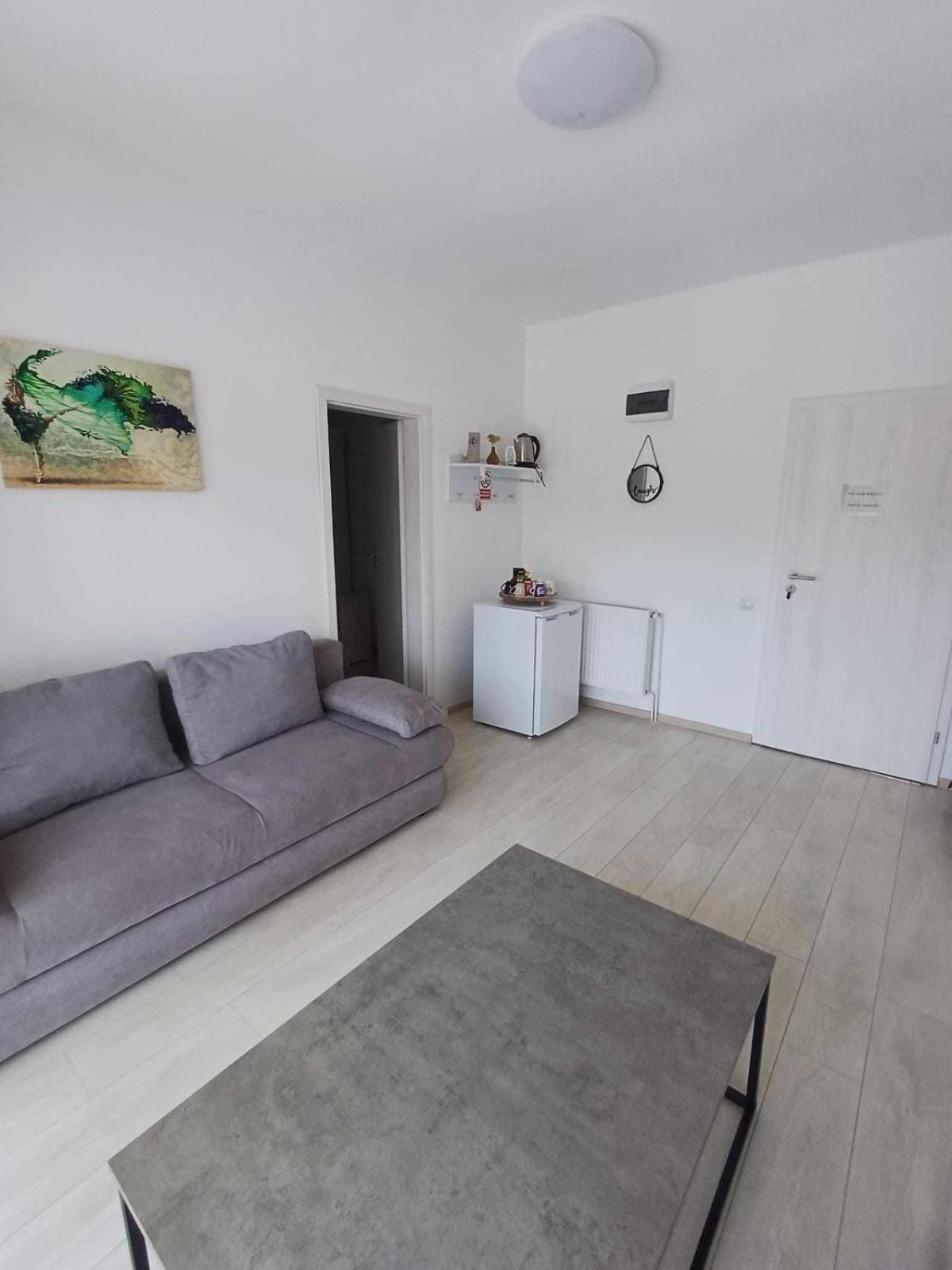 Apartamente9- Codruta view 4