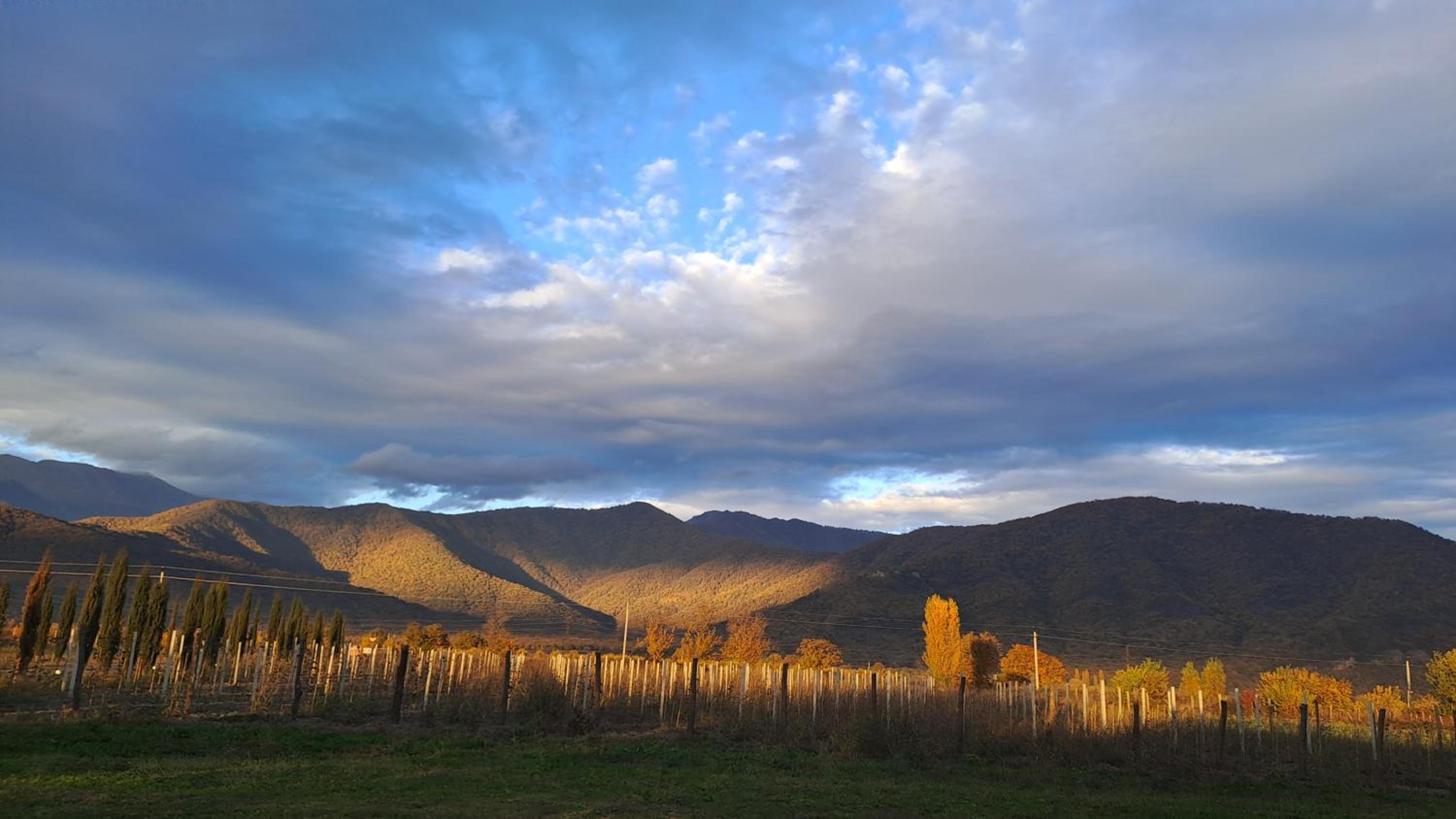 Shaverge wine cellar and cottejes view 4