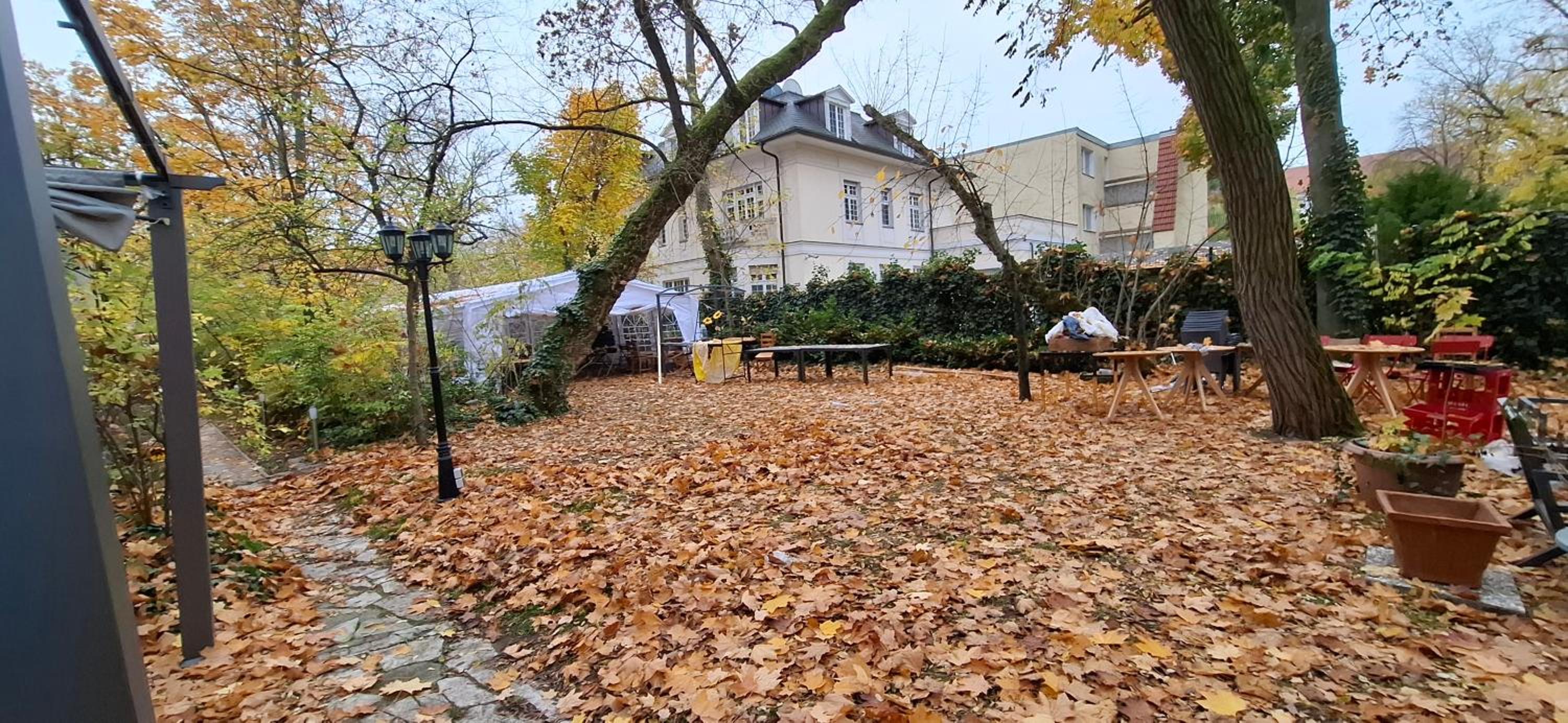 King David Garden