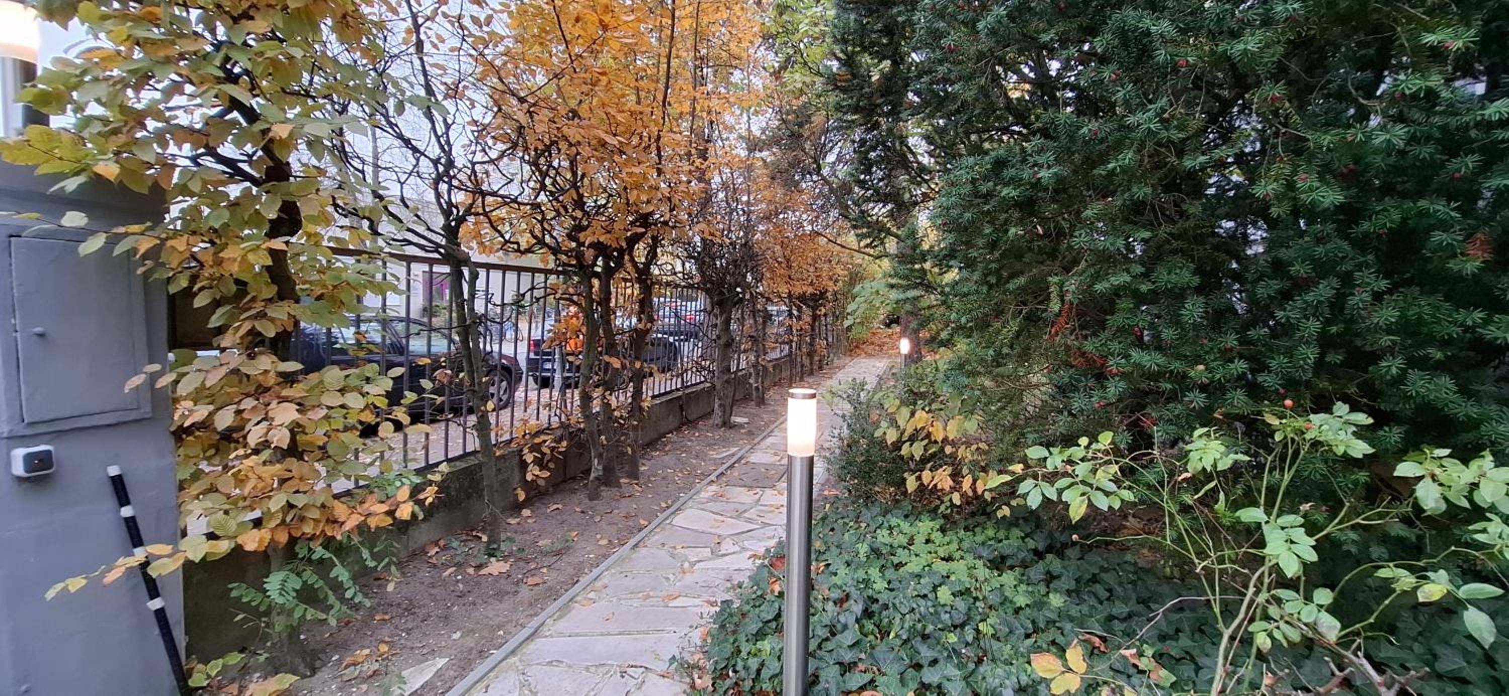 King David Garden