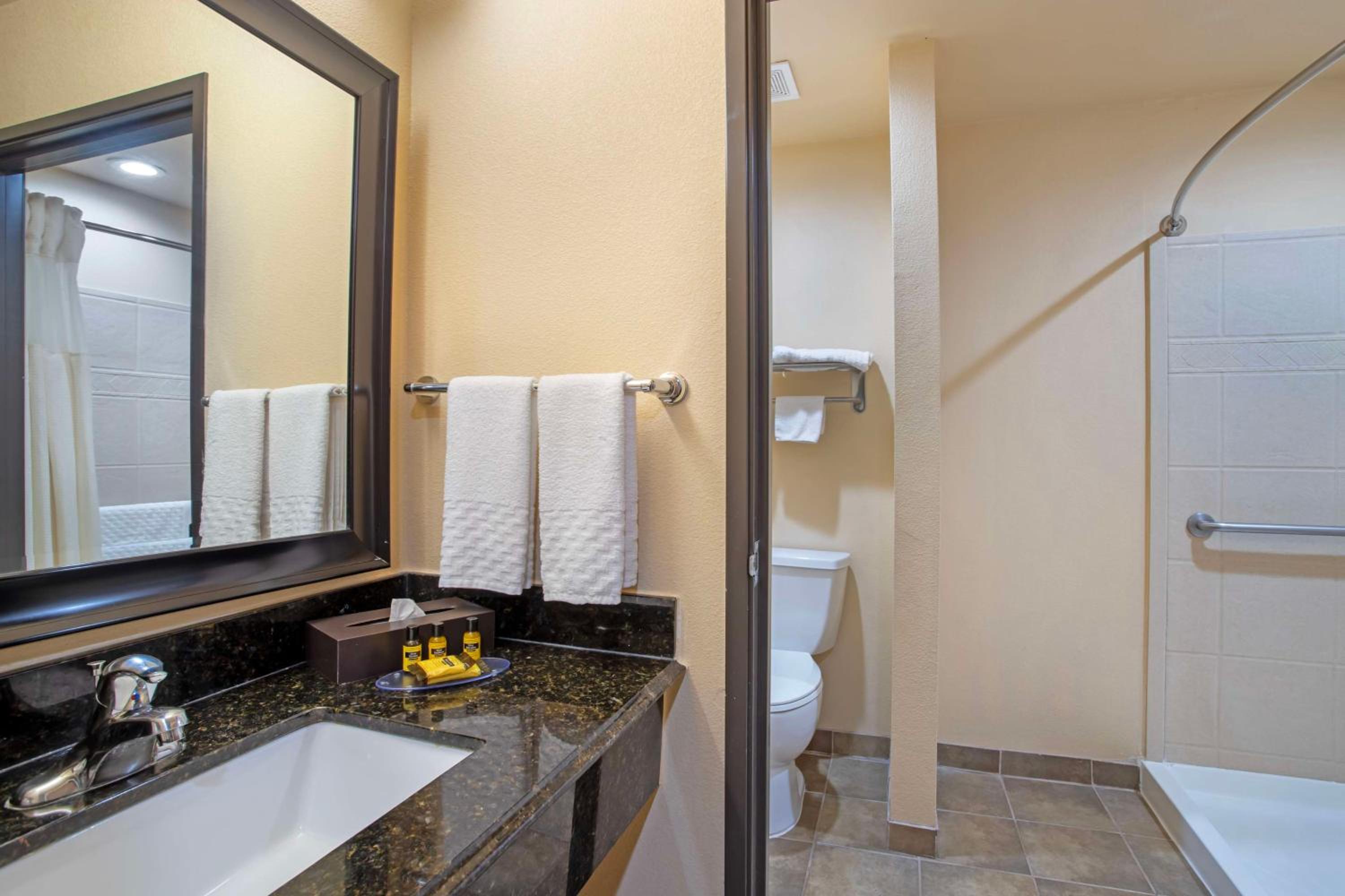 Best Western Plus Goliad Inn & Suites