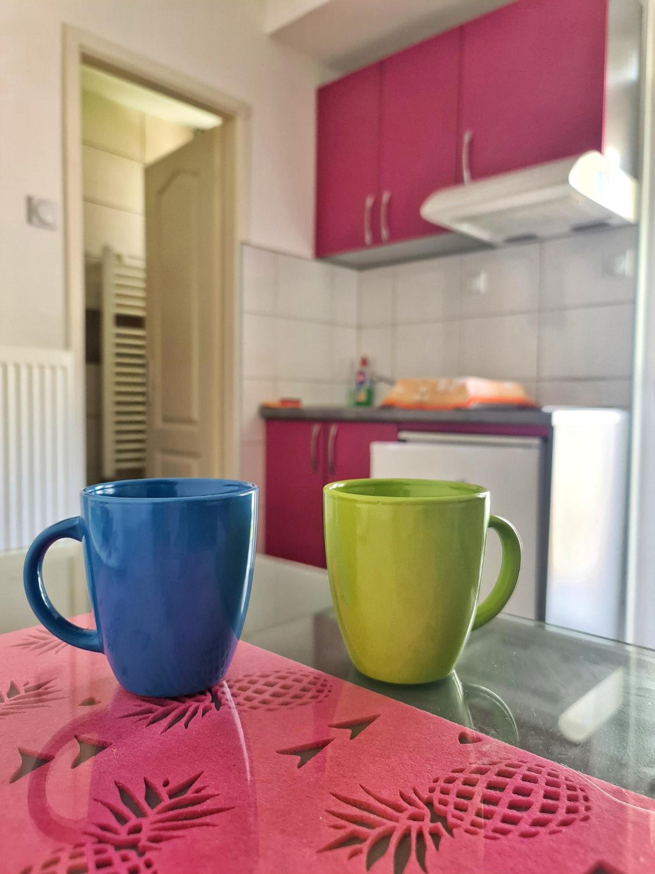 Maja Vujković Apartman 5 view 4
