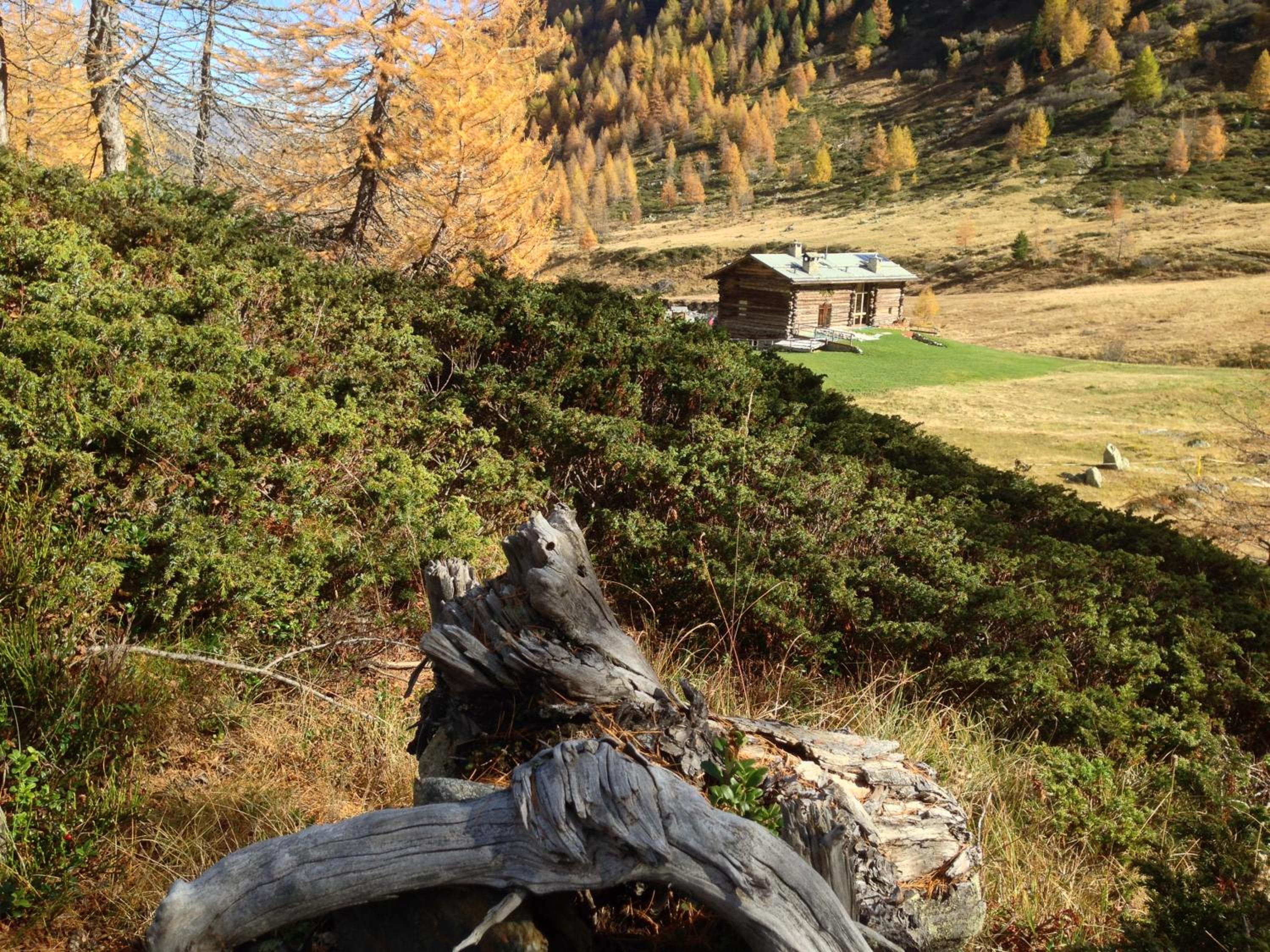 Photo 20