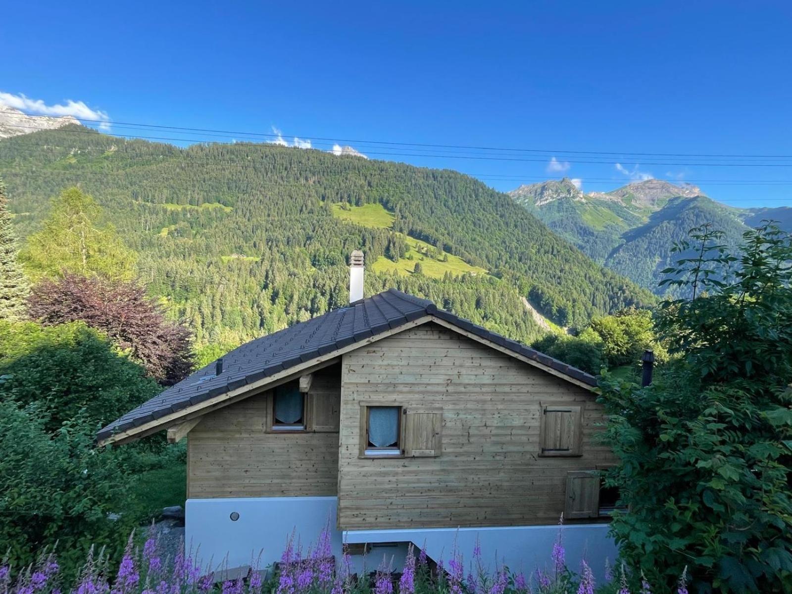 Chalet Villars-Gryon 8pax Cosy