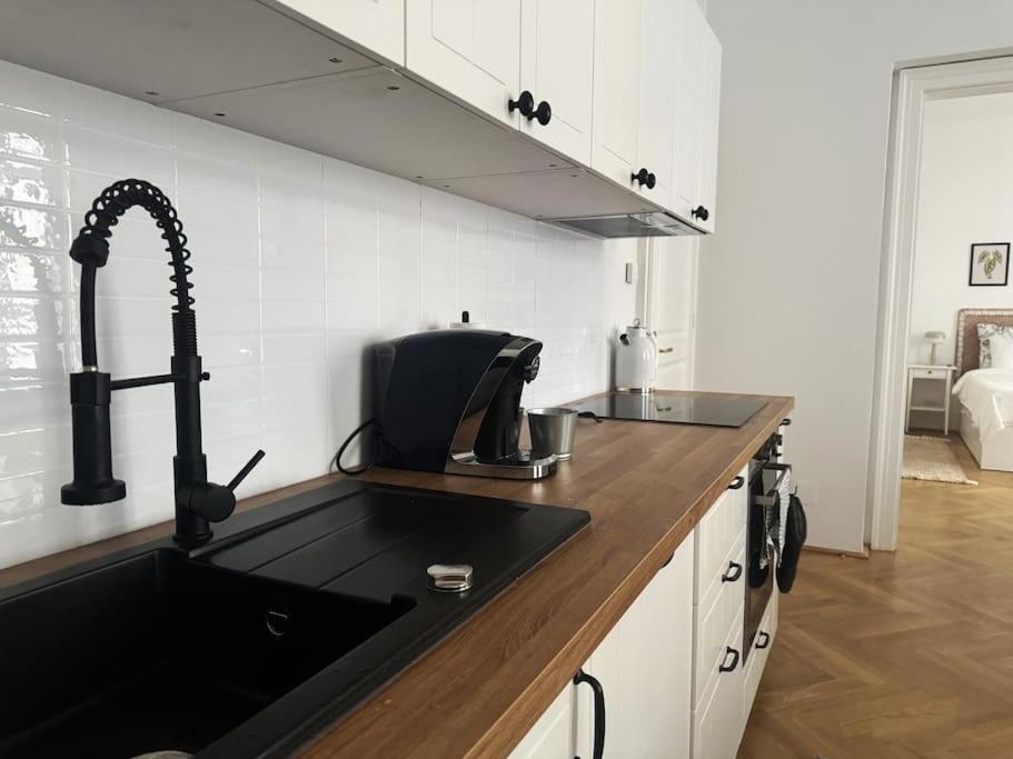 Historic Flat near Main Station