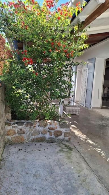 Maison créole Marguerite Rose