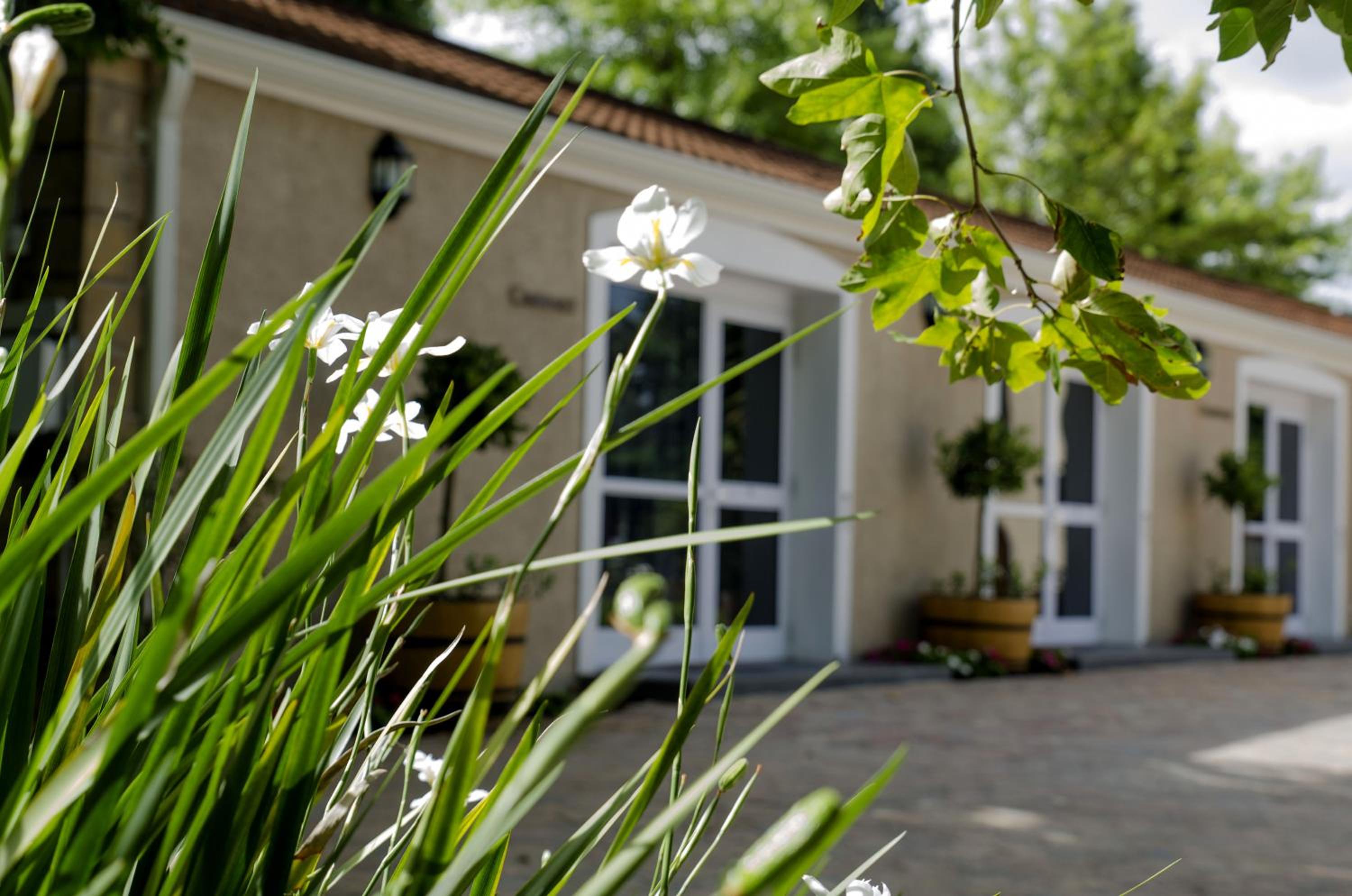 Hotel Clos Malverne Wine Estate - Image 1