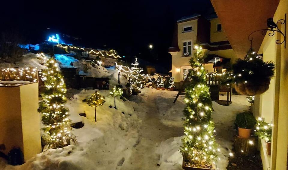 Hotel Ubytovani V Soukromi - Apartman Meran