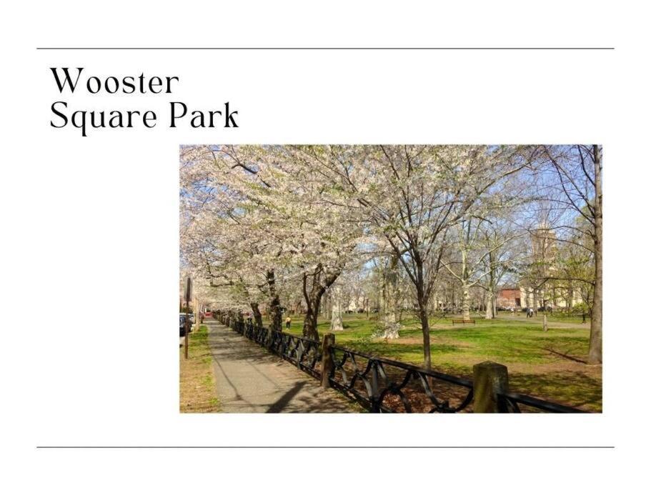 DTWN Yale Wooster Square Laundry view 3