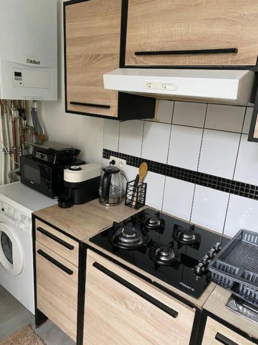 Beautiful Big Apartment in Central Antwerp