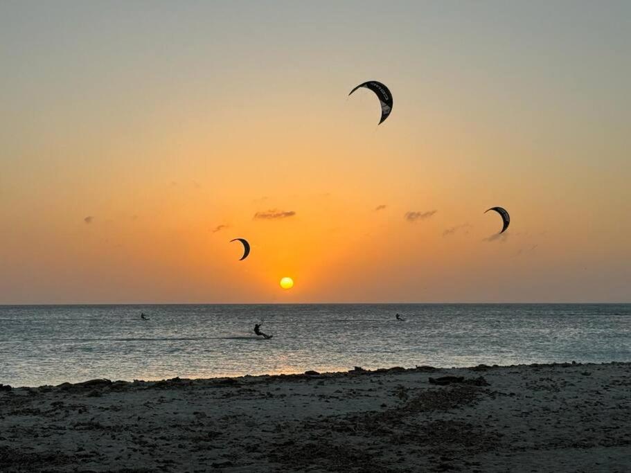 Aruba Casita Arashi