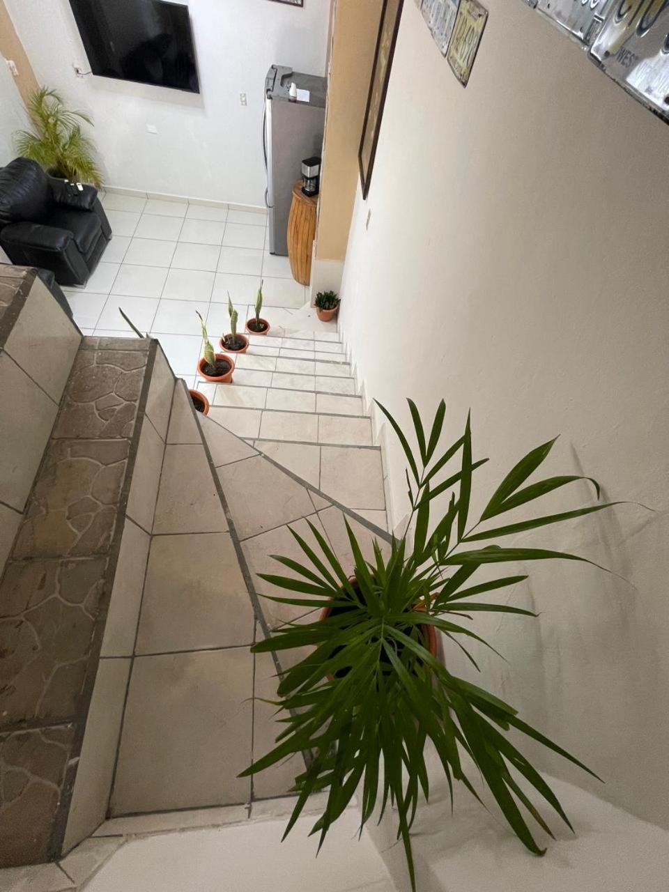 Hostal Charlotte