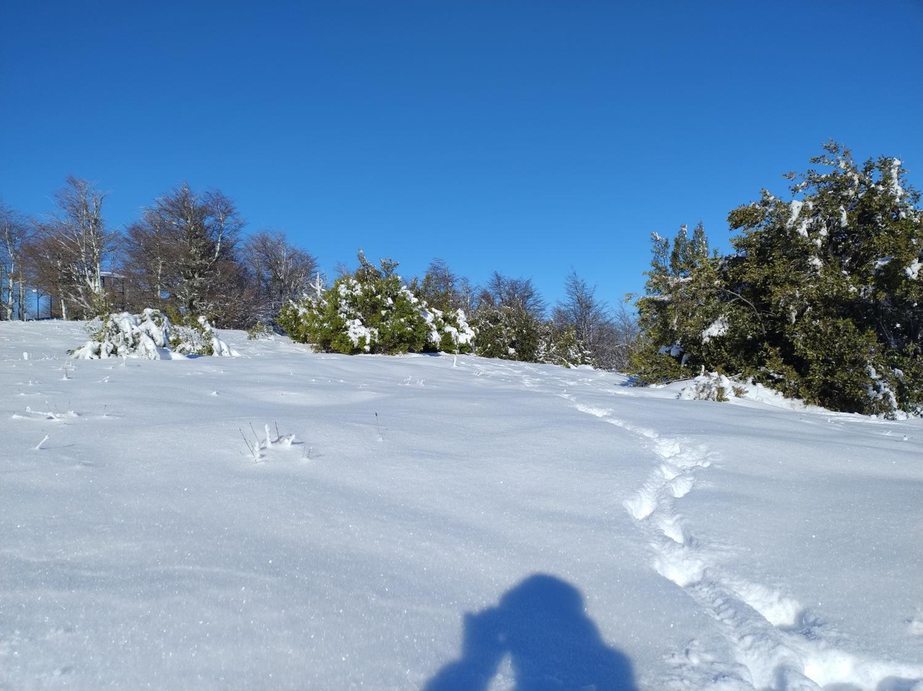 Puro Sur Bariloche
