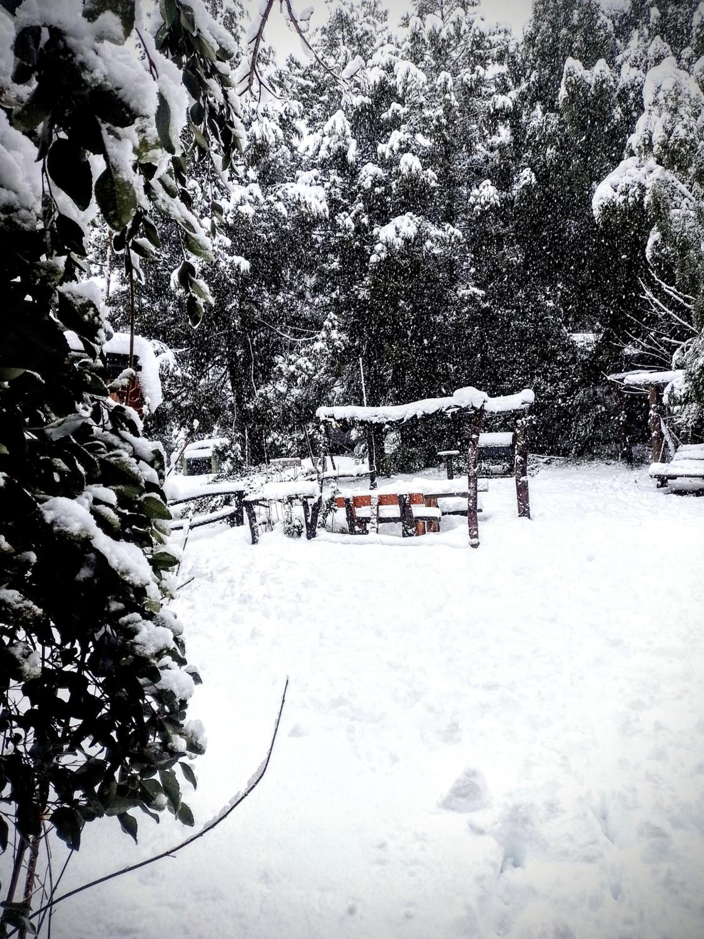 Puro Sur Bariloche