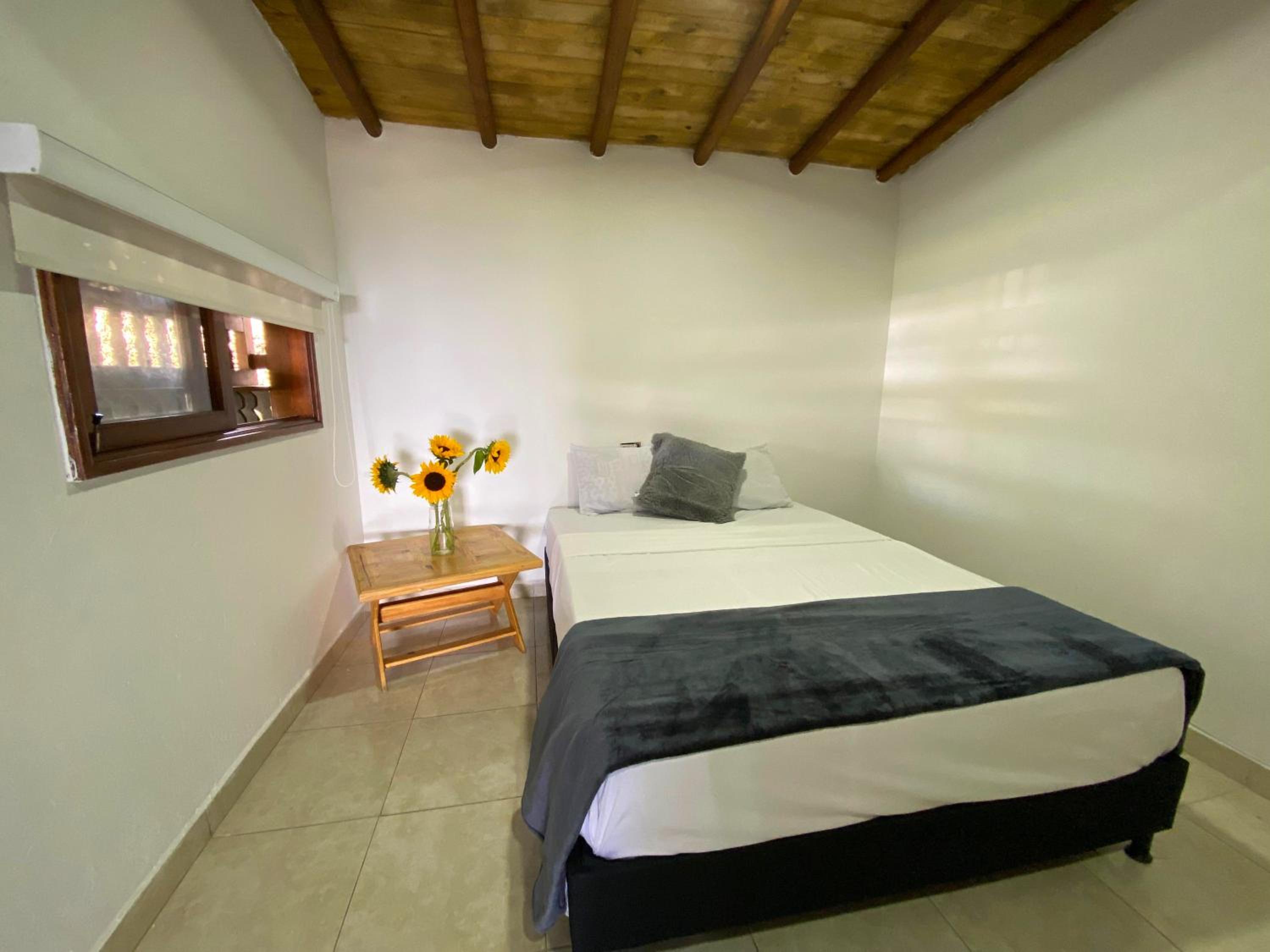 Finca Buena Vista