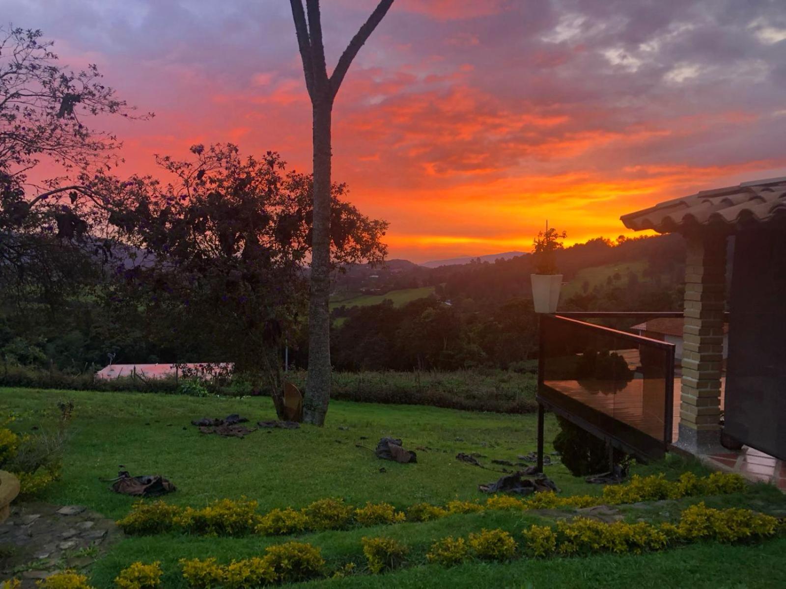Finca Buena Vista