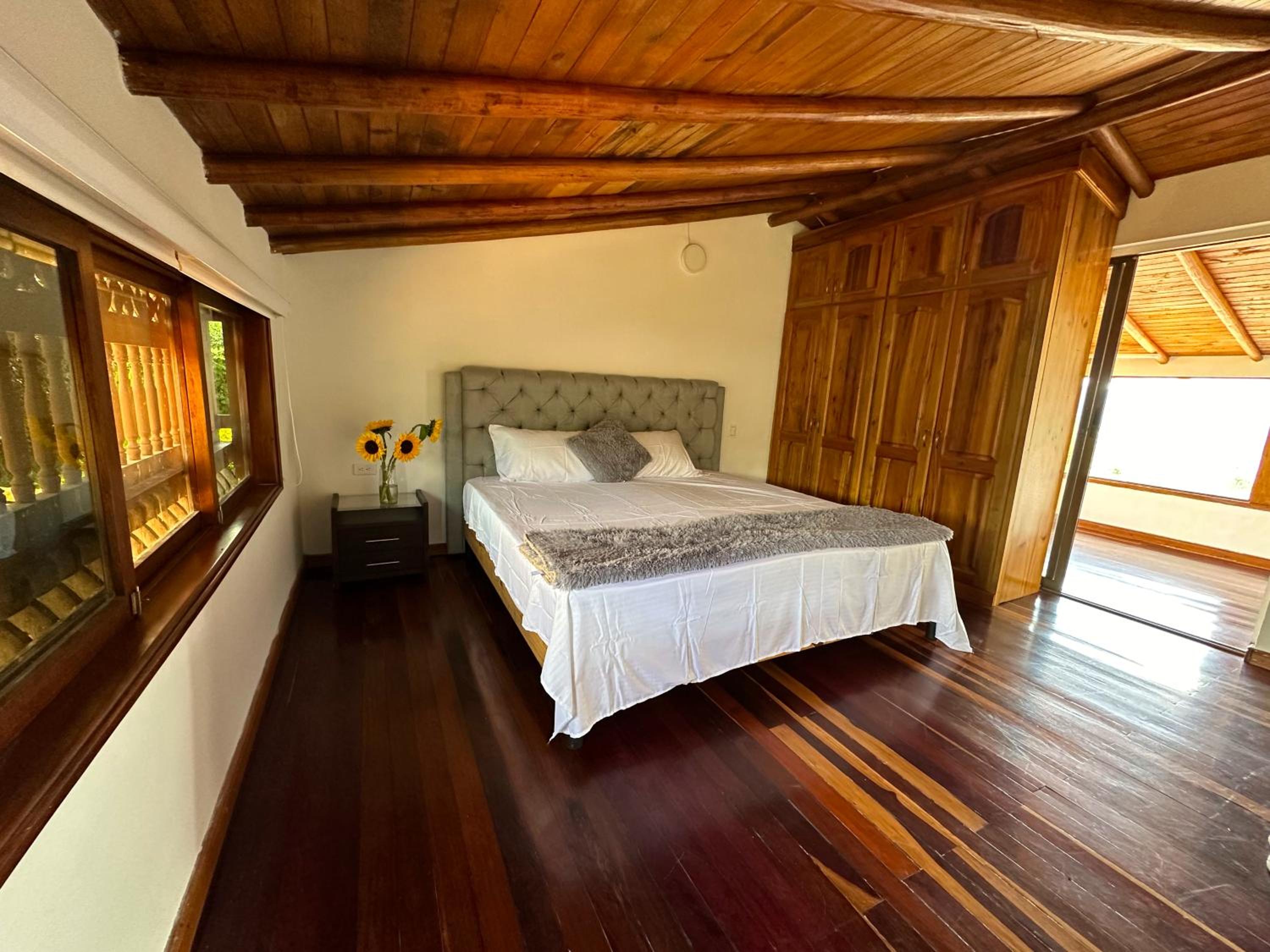 Finca Buena Vista