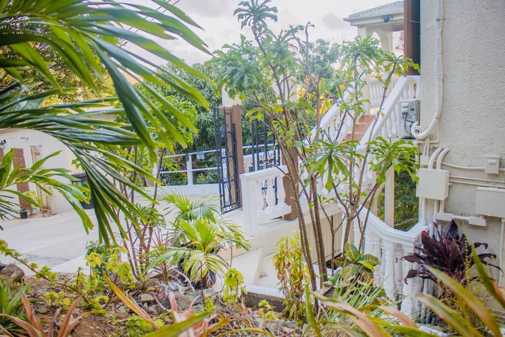 St John USVI Hillside Villa 7 Min Drive to Cruz Bay view 4