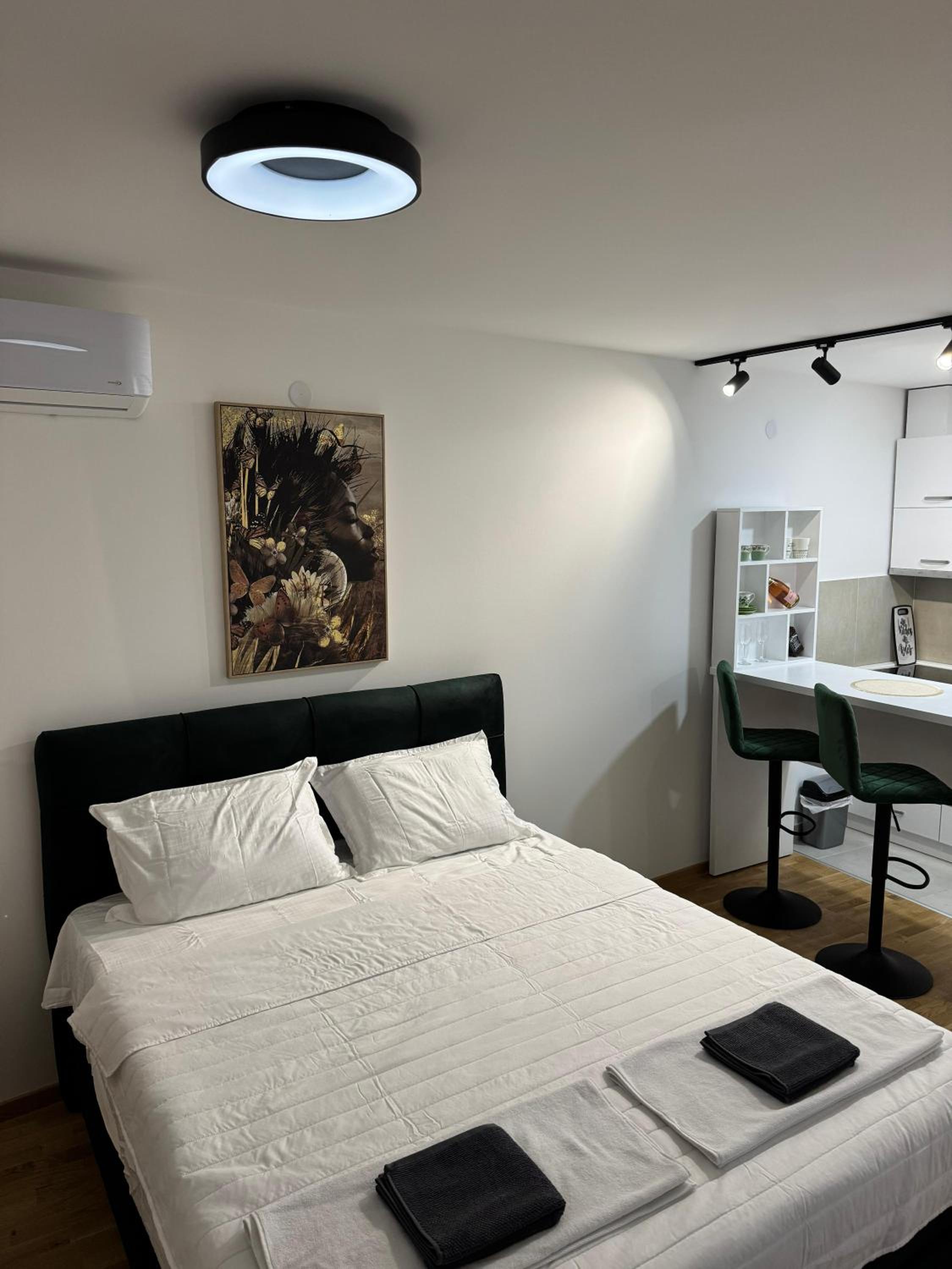Apartmani 94 Novi Sad view 4