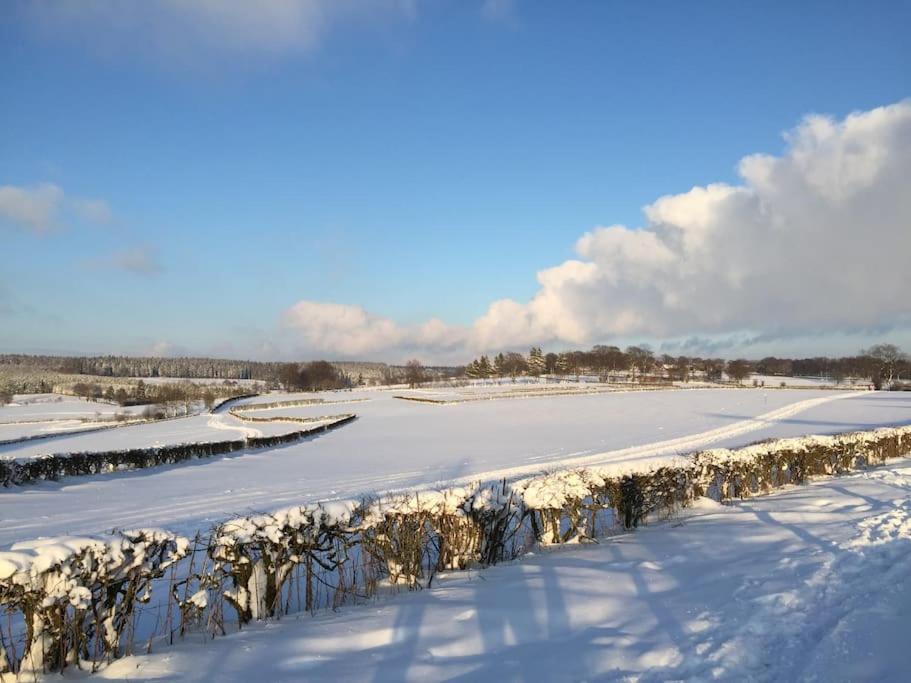 Super view Am Flachsberg