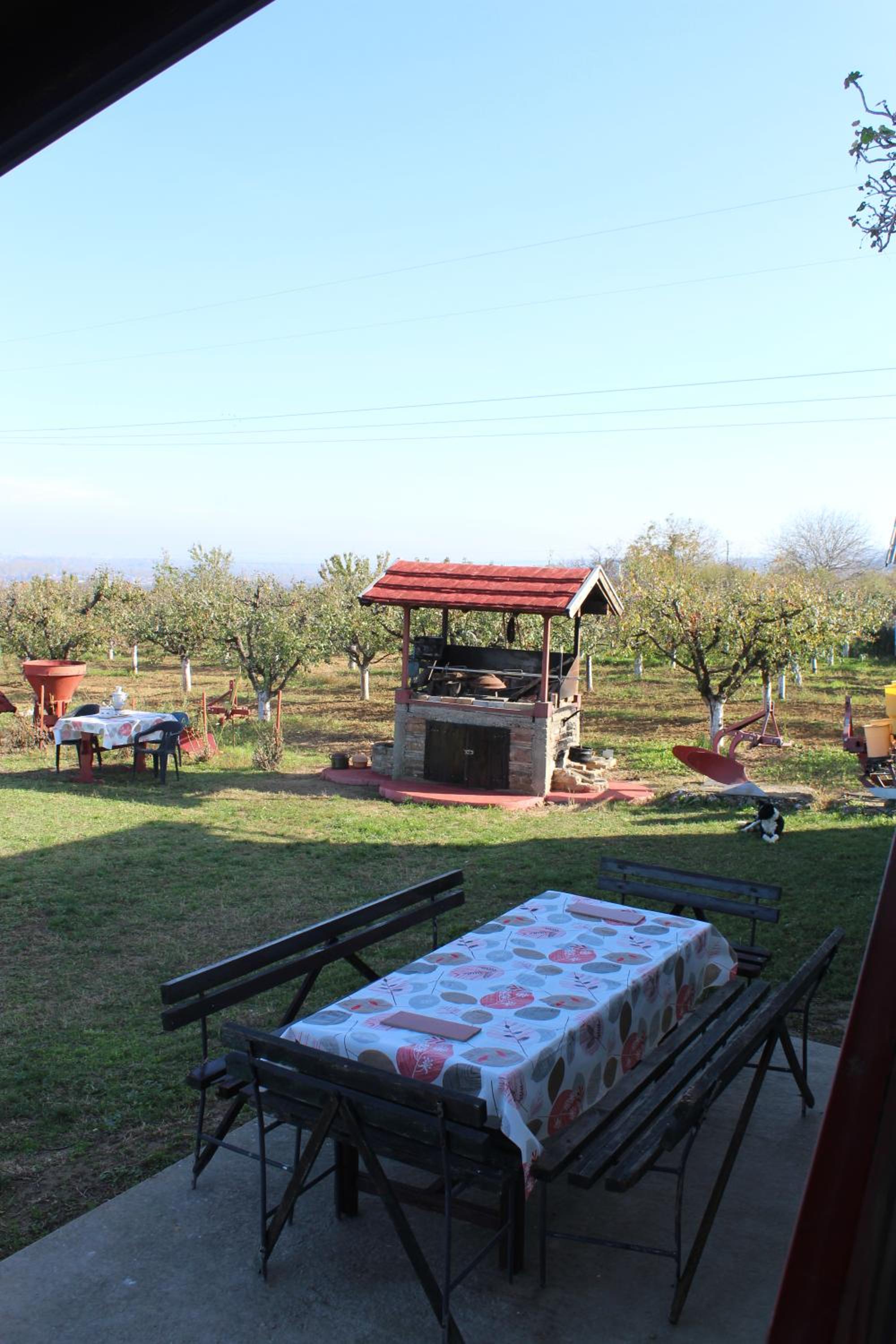 Photo 8
