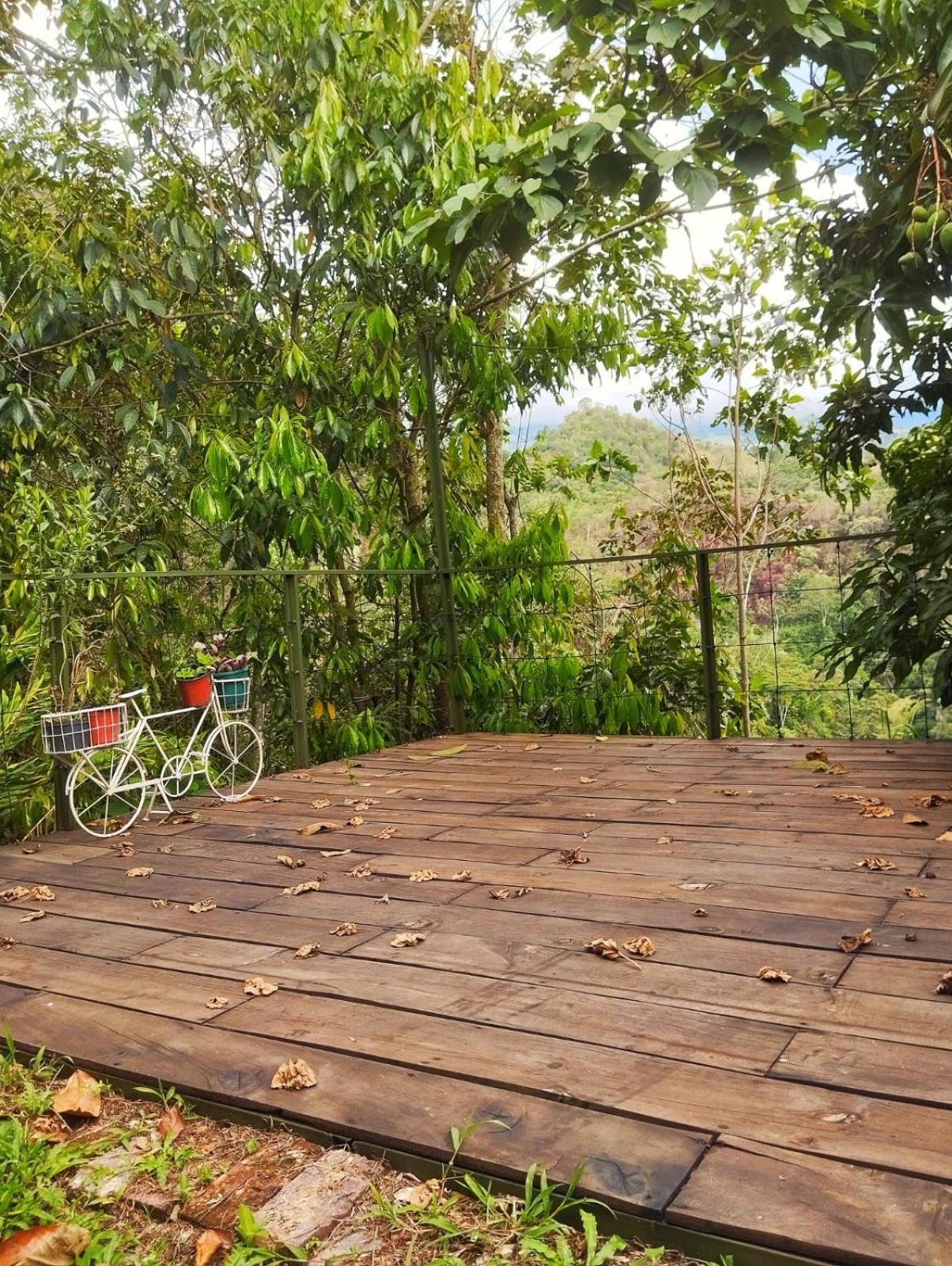 Allegro Eco Glamping